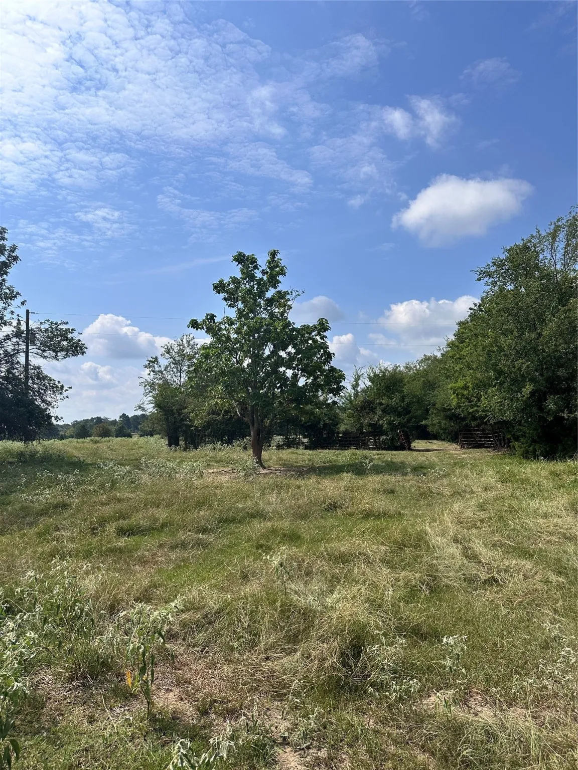 Unimproved Land For Sale in Van Zandt County , 200 VZ CR 2422, Mabank, Texas 75147, 0, 0, Garage spaces, 0 Sqft, built in 0, mls#20702858, Real Estate Agent in Mabank, Homes For Sale in Van Zandt county, Homes For Sale in Mabank, Realtor in Mabank Texas, Real Estate Brokerage Independent Realty Texas, Luminita Cordes Realtor