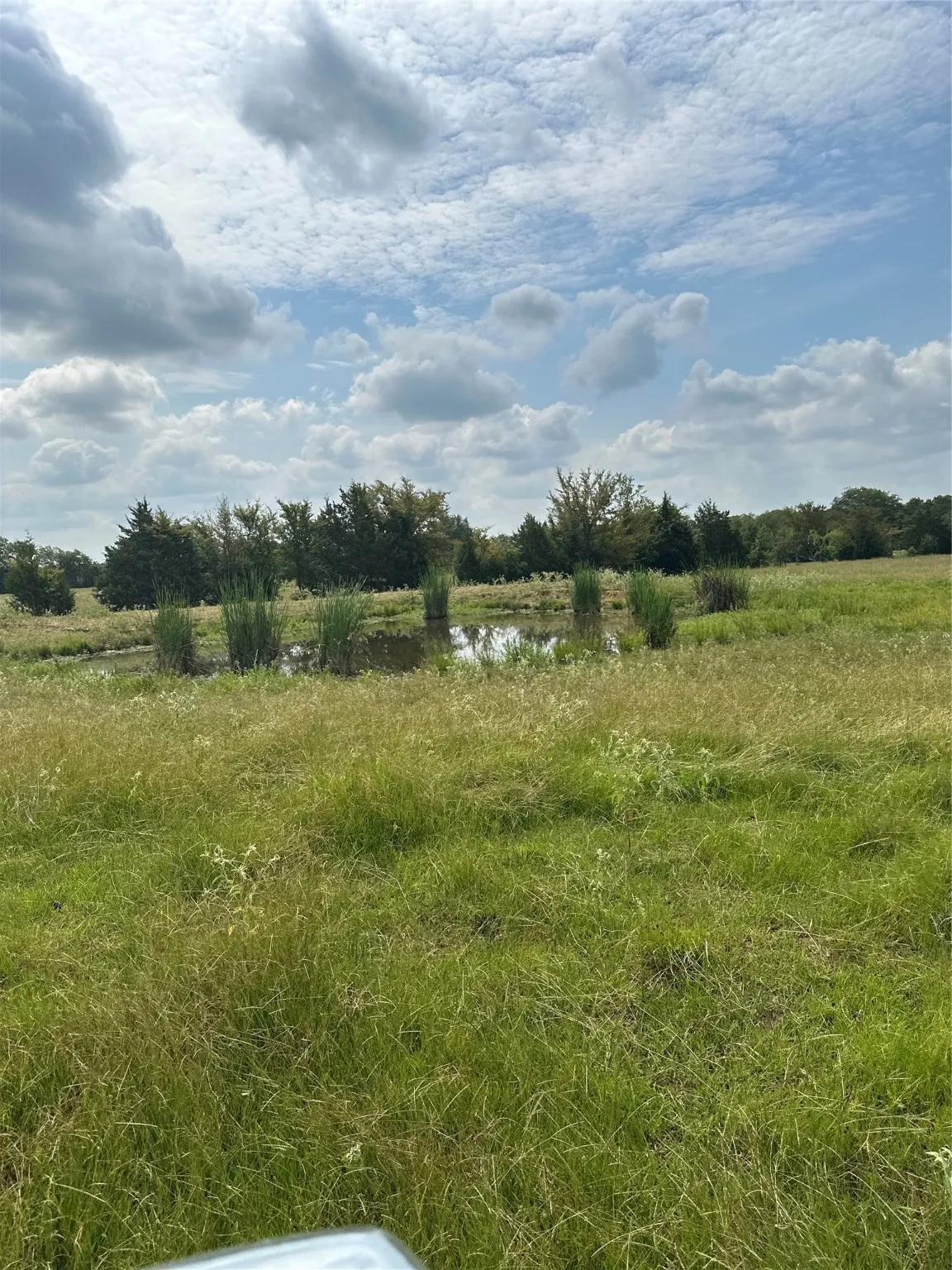 Unimproved Land For Sale in Van Zandt County , 200 VZ CR 2422, Mabank, Texas 75147, 0, 0, Garage spaces, 0 Sqft, built in 0, mls#20702858, Real Estate Agent in Mabank, Homes For Sale in Van Zandt county, Homes For Sale in Mabank, Realtor in Mabank Texas, Real Estate Brokerage Independent Realty Texas, Luminita Cordes Realtor