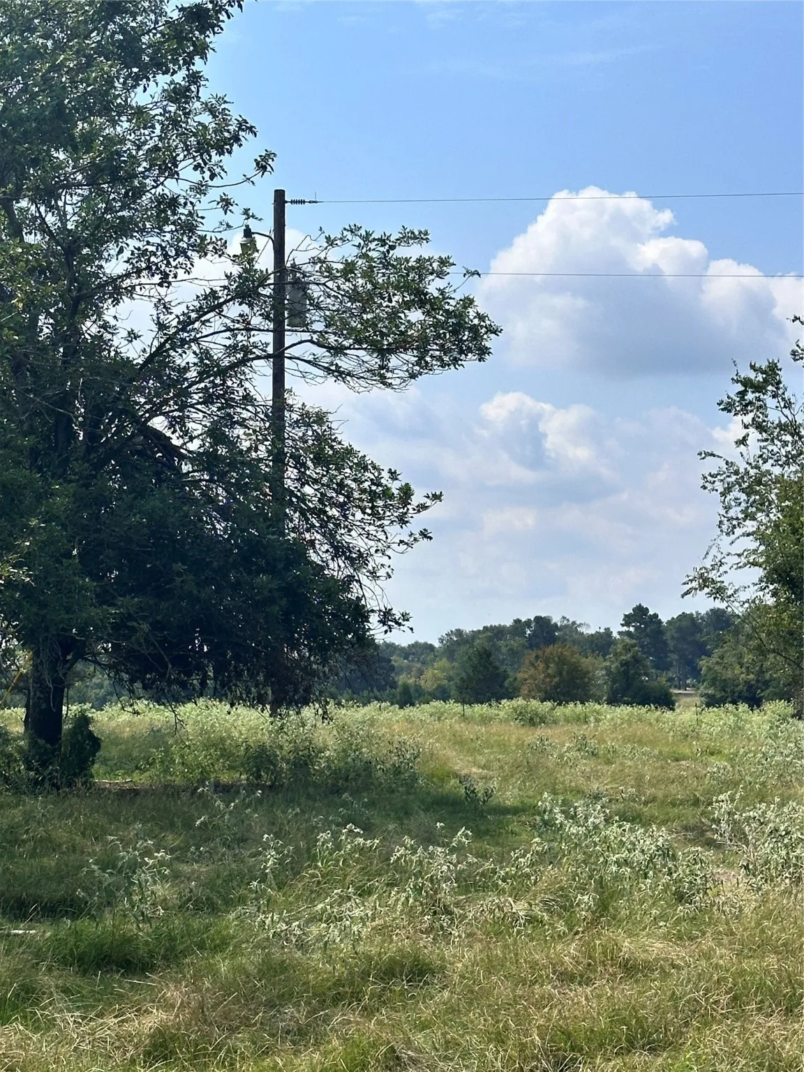 Unimproved Land For Sale in Van Zandt County , 200 VZ CR 2422, Mabank, Texas 75147, 0, 0, Garage spaces, 0 Sqft, built in 0, mls#20702858, Real Estate Agent in Mabank, Homes For Sale in Van Zandt county, Homes For Sale in Mabank, Realtor in Mabank Texas, Real Estate Brokerage Independent Realty Texas, Luminita Cordes Realtor