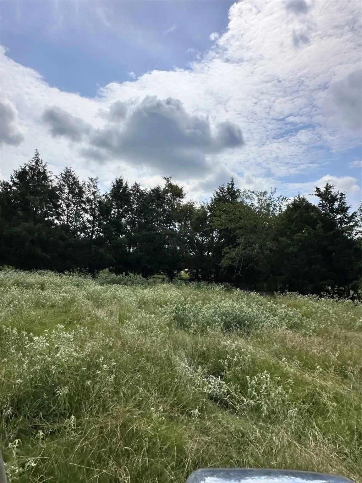 Unimproved Land For Sale in Van Zandt County , 200 VZ CR 2422, Mabank, Texas 75147, 0, 0, Garage spaces, 0 Sqft, built in 0, mls#20702858, Real Estate Agent in Mabank, Homes For Sale in Van Zandt county, Homes For Sale in Mabank, Realtor in Mabank Texas, Real Estate Brokerage Independent Realty Texas, Luminita Cordes Realtor