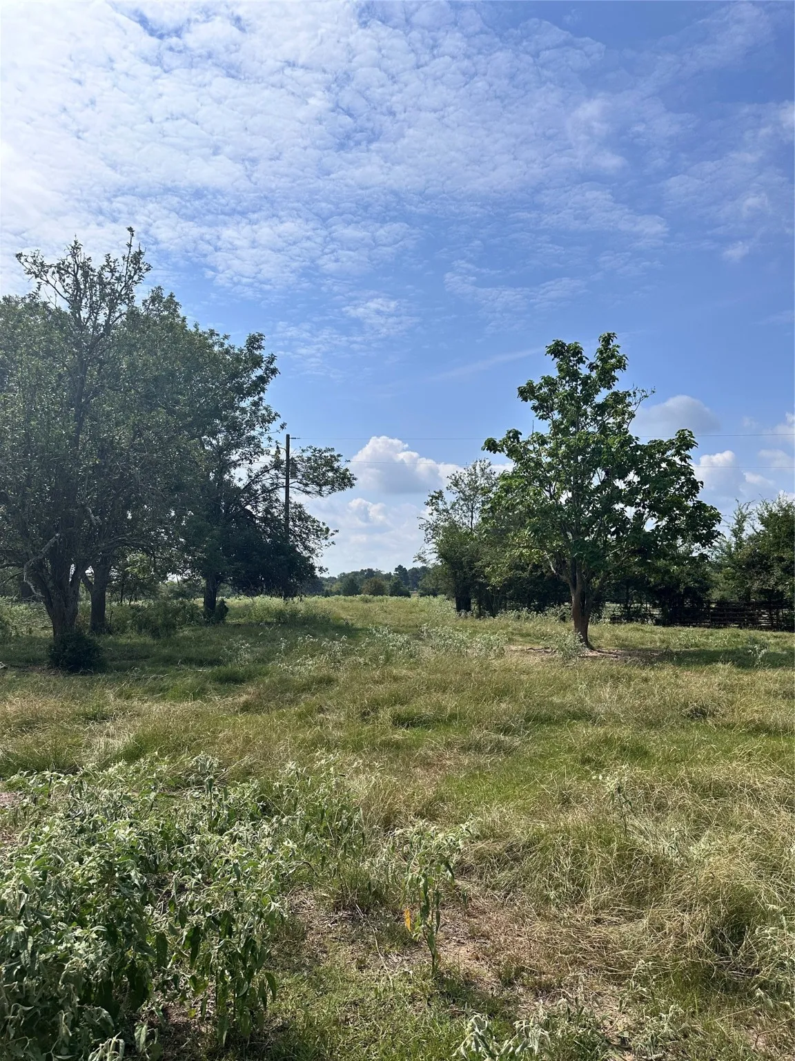Unimproved Land For Sale in Van Zandt County , 200 VZ CR 2422, Mabank, Texas 75147, 0, 0, Garage spaces, 0 Sqft, built in 0, mls#20702858, Real Estate Agent in Mabank, Homes For Sale in Van Zandt county, Homes For Sale in Mabank, Realtor in Mabank Texas, Real Estate Brokerage Independent Realty Texas, Luminita Cordes Realtor