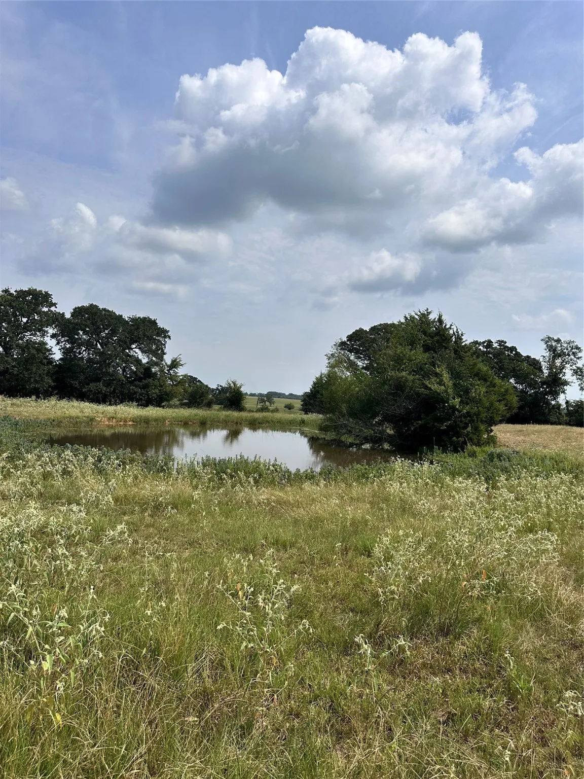 Unimproved Land For Sale in Van Zandt County , 200 VZ CR 2422, Mabank, Texas 75147, 0, 0, Garage spaces, 0 Sqft, built in 0, mls#20702858, Real Estate Agent in Mabank, Homes For Sale in Van Zandt county, Homes For Sale in Mabank, Realtor in Mabank Texas, Real Estate Brokerage Independent Realty Texas, Luminita Cordes Realtor