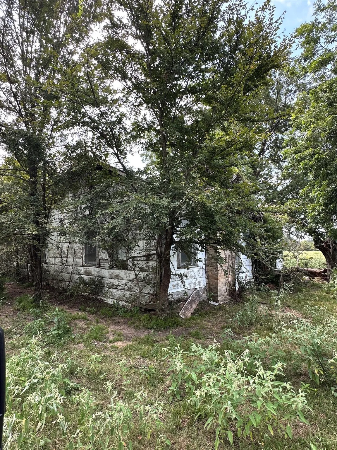 Unimproved Land For Sale in Van Zandt County , 200 VZ CR 2422, Mabank, Texas 75147, 0, 0, Garage spaces, 0 Sqft, built in 0, mls#20702858, Real Estate Agent in Mabank, Homes For Sale in Van Zandt county, Homes For Sale in Mabank, Realtor in Mabank Texas, Real Estate Brokerage Independent Realty Texas, Luminita Cordes Realtor