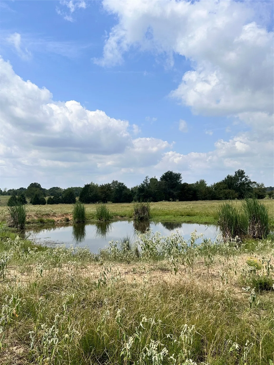 Unimproved Land For Sale in Van Zandt County , 200 VZ CR 2422, Mabank, Texas 75147, 0, 0, Garage spaces, 0 Sqft, built in 0, mls#20702858, Real Estate Agent in Mabank, Homes For Sale in Van Zandt county, Homes For Sale in Mabank, Realtor in Mabank Texas, Real Estate Brokerage Independent Realty Texas, Luminita Cordes Realtor