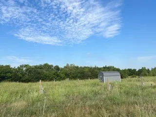Back row of row 1 around edge of property.