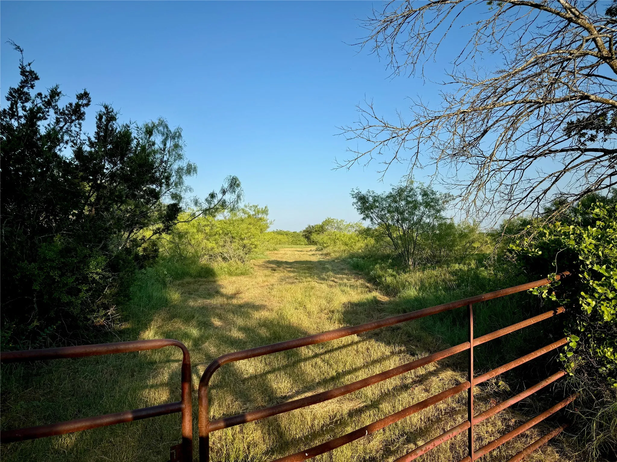 Unimproved Land For Sale in Johnson County , 11040 County Road 1117, Cleburne, Texas 76033, 0, 0, Garage spaces, 0 Sqft, built in 0, Price $125,000, mls#20703991, Real Estate Agent in Cleburne, Homes For Sale in Johnson county, Homes For Sale in Cleburne, Realtor in Cleburne Texas, Real Estate Brokerage Independent Realty Texas, Luminita Cordes Realtor