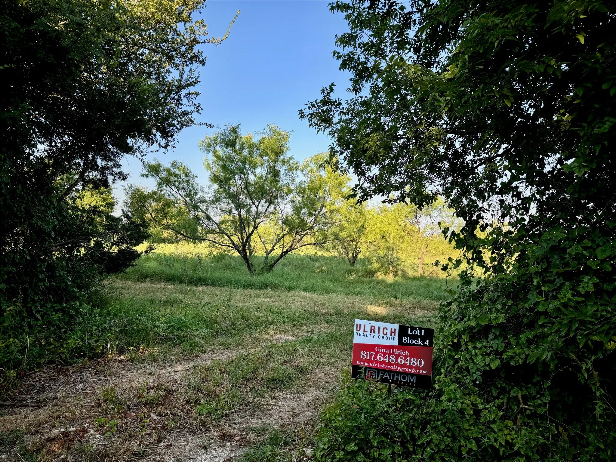 Unimproved Land For Sale in Johnson County , 11040 County Road 1117, Cleburne, Texas 76033, 0, 0, Garage spaces, 0 Sqft, built in 0, Price $125,000, mls#20703991, Real Estate Agent in Cleburne, Homes For Sale in Johnson county, Homes For Sale in Cleburne, Realtor in Cleburne Texas, Real Estate Brokerage Independent Realty Texas, Luminita Cordes Realtor