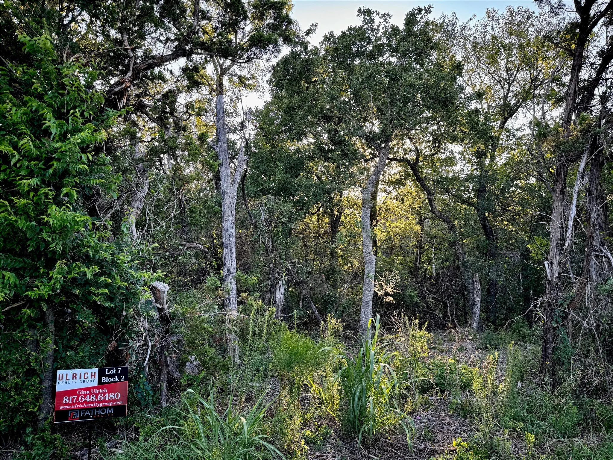 Unimproved Land For Sale in Johnson County , 10520 County Road 1117, Cleburne, Texas 76033, 0, 0, Garage spaces, 0 Sqft, built in 0, Price $80,000, mls#20704406, Real Estate Agent in Cleburne, Homes For Sale in Johnson county, Homes For Sale in Cleburne, Realtor in Cleburne Texas, Real Estate Brokerage Independent Realty Texas, Luminita Cordes Realtor