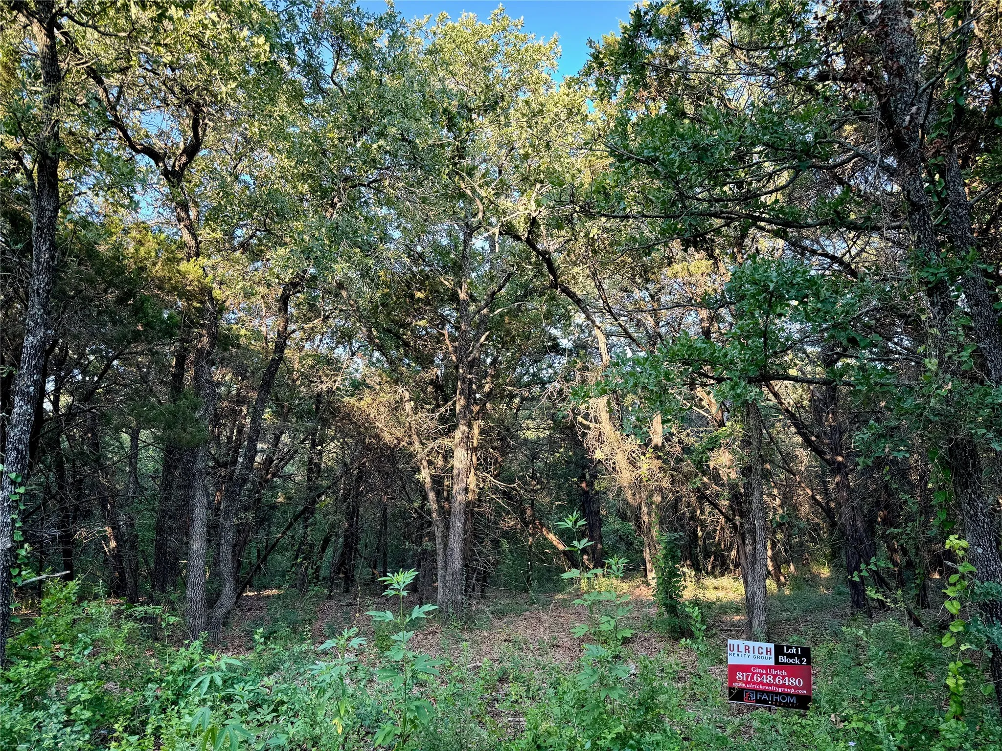 Unimproved Land For Sale in Johnson County , 10601 County Road 1240, Cleburne, Texas 76033, 0, 0, Garage spaces, 0 Sqft, built in 0, mls#20704460, Real Estate Agent in Cleburne, Homes For Sale in Johnson county, Homes For Sale in Cleburne, Realtor in Cleburne Texas, Real Estate Brokerage Independent Realty Texas, Luminita Cordes Realtor