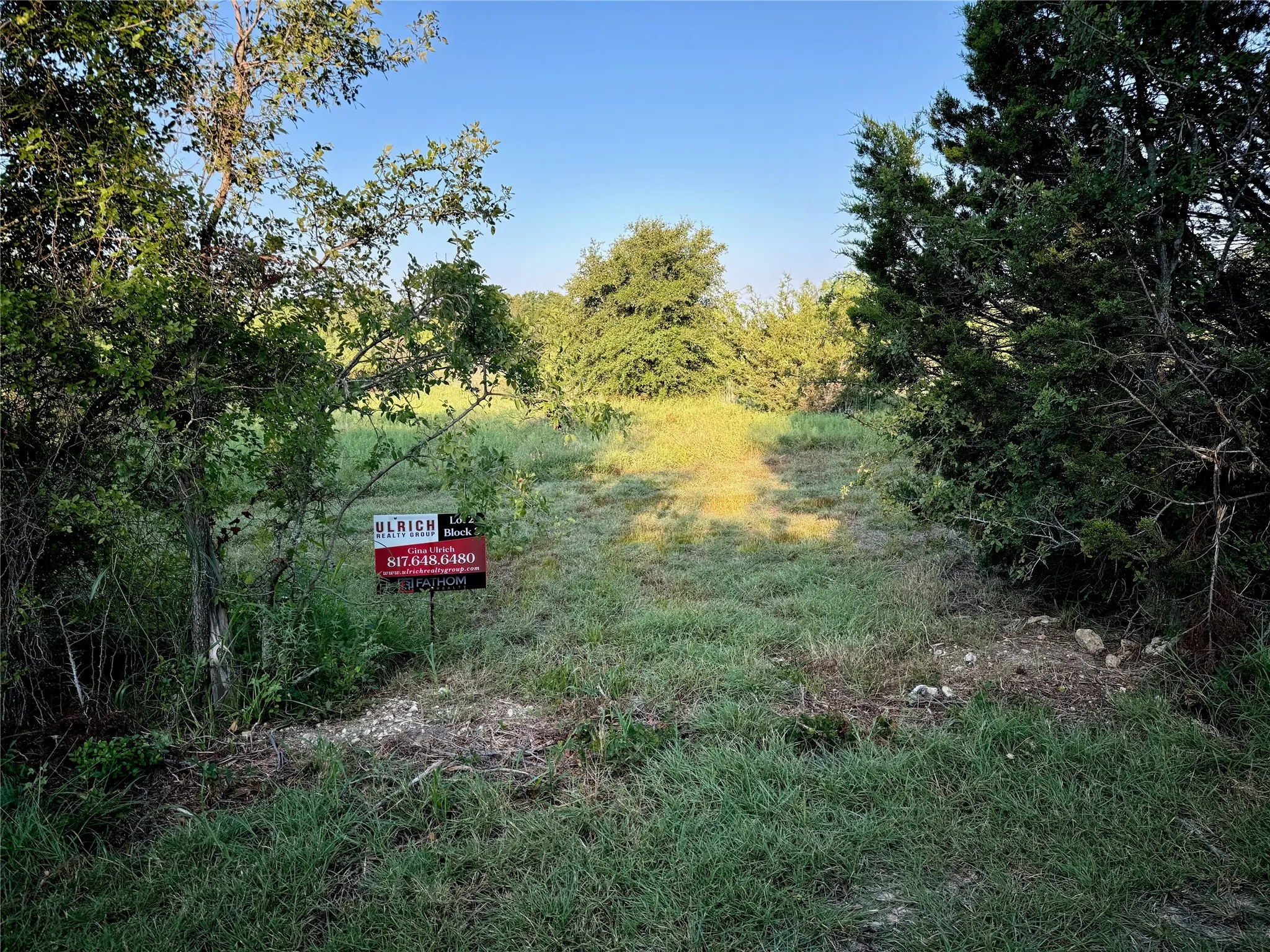 Unimproved Land For Sale in Johnson County , 10680 County Road 1240, Cleburne, Texas 76033, 0, 0, Garage spaces, 0 Sqft, built in 0, mls#20704569, Real Estate Agent in Cleburne, Homes For Sale in Johnson county, Homes For Sale in Cleburne, Realtor in Cleburne Texas, Real Estate Brokerage Independent Realty Texas, Luminita Cordes Realtor
