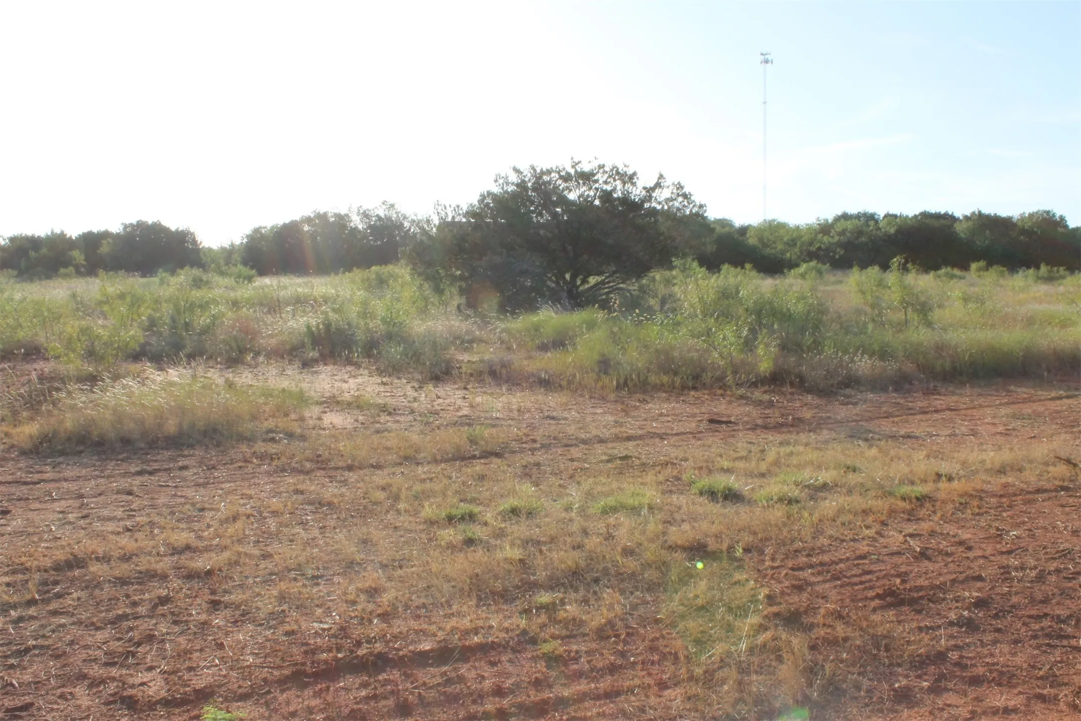 Unimproved Land For Sale in Taylor County , TBD Us-83, Tuscola, Texas 79562, 0, 0, Garage spaces, 0 Sqft, built in 0, Price $400,000, mls#20704529, Real Estate Agent in Tuscola, Homes For Sale in Taylor county, Homes For Sale in Tuscola, Realtor in Tuscola Texas, Real Estate Brokerage Independent Realty Texas, Luminita Cordes Realtor