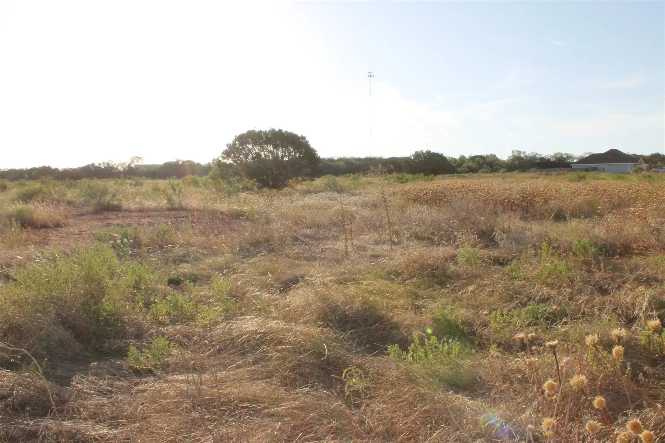 Unimproved Land For Sale in Taylor County , TBD Us-83, Tuscola, Texas 79562, 0, 0, Garage spaces, 0 Sqft, built in 0, Price $400,000, mls#20704529, Real Estate Agent in Tuscola, Homes For Sale in Taylor county, Homes For Sale in Tuscola, Realtor in Tuscola Texas, Real Estate Brokerage Independent Realty Texas, Luminita Cordes Realtor