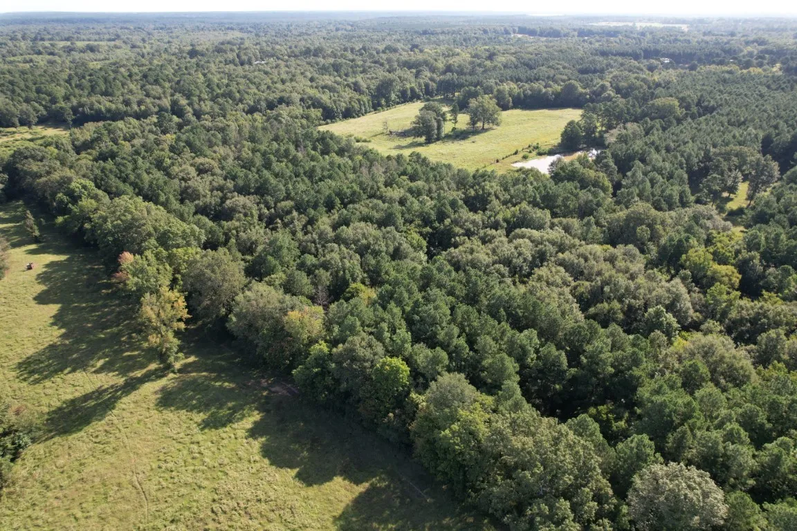 Unimproved Land For Sale in Panola County , TBD County Road 168-1, Long Branch, Texas 75669, 0, 0, Garage spaces, 0 Sqft, built in 0, Price $324,000, mls#20706695, Real Estate Agent in Long Branch, Homes For Sale in Panola county, Homes For Sale in Long Branch, Realtor in Long Branch Texas, Real Estate Brokerage Independent Realty Texas, Luminita Cordes Realtor
