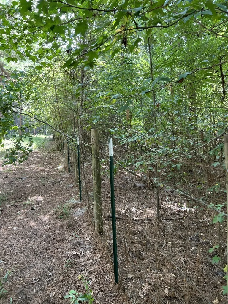 Unimproved Land For Sale in Panola County , TBD County Road 168-1, Long Branch, Texas 75669, 0, 0, Garage spaces, 0 Sqft, built in 0, Price $324,000, mls#20706695, Real Estate Agent in Long Branch, Homes For Sale in Panola county, Homes For Sale in Long Branch, Realtor in Long Branch Texas, Real Estate Brokerage Independent Realty Texas, Luminita Cordes Realtor