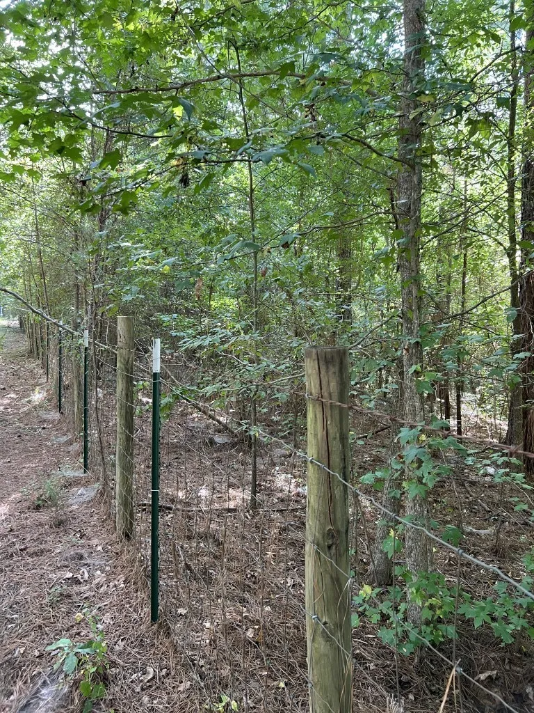 Unimproved Land For Sale in Panola County , TBD County Road 168-1, Long Branch, Texas 75669, 0, 0, Garage spaces, 0 Sqft, built in 0, Price $324,000, mls#20706695, Real Estate Agent in Long Branch, Homes For Sale in Panola county, Homes For Sale in Long Branch, Realtor in Long Branch Texas, Real Estate Brokerage Independent Realty Texas, Luminita Cordes Realtor