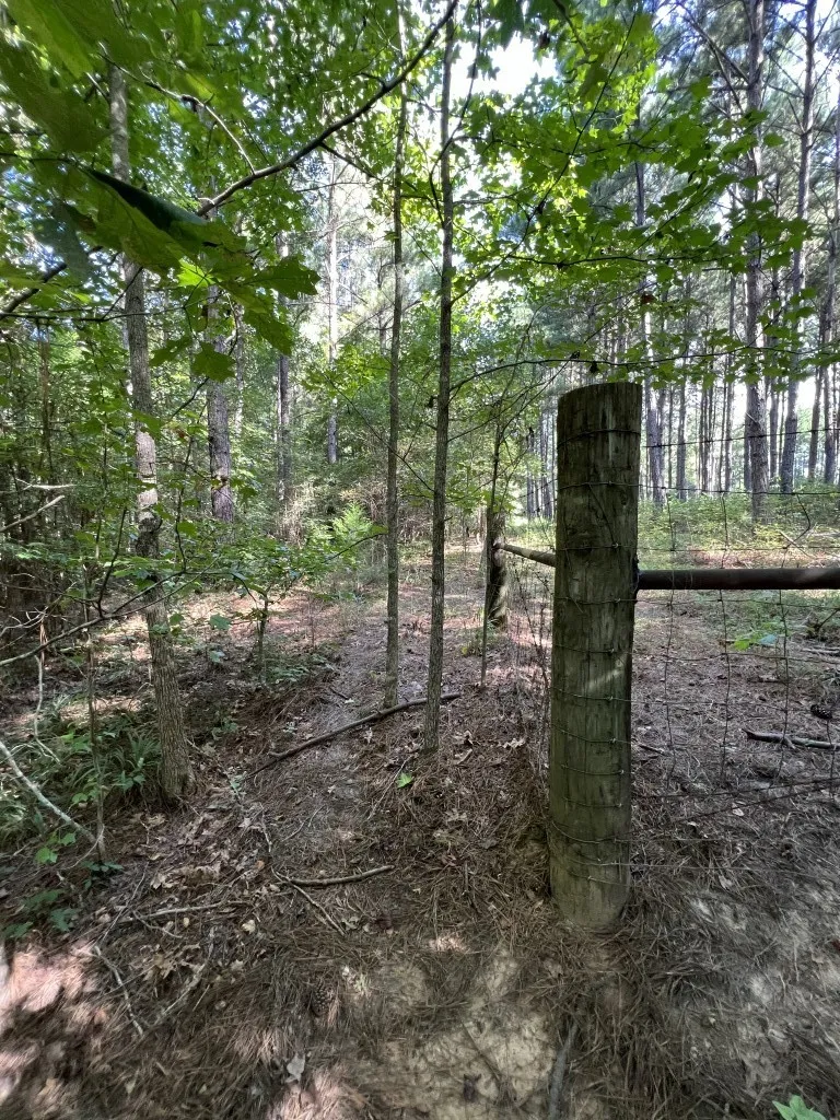 Unimproved Land For Sale in Panola County , TBD County Road 168-1, Long Branch, Texas 75669, 0, 0, Garage spaces, 0 Sqft, built in 0, Price $324,000, mls#20706695, Real Estate Agent in Long Branch, Homes For Sale in Panola county, Homes For Sale in Long Branch, Realtor in Long Branch Texas, Real Estate Brokerage Independent Realty Texas, Luminita Cordes Realtor