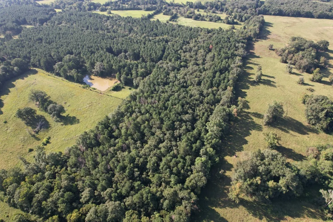 Unimproved Land For Sale in Panola County , TBD County Road 168-1, Long Branch, Texas 75669, 0, 0, Garage spaces, 0 Sqft, built in 0, Price $324,000, mls#20706695, Real Estate Agent in Long Branch, Homes For Sale in Panola county, Homes For Sale in Long Branch, Realtor in Long Branch Texas, Real Estate Brokerage Independent Realty Texas, Luminita Cordes Realtor