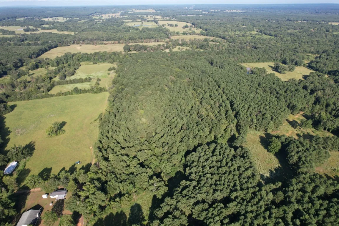 Unimproved Land For Sale in Panola County , TBD County Road 168-1, Long Branch, Texas 75669, 0, 0, Garage spaces, 0 Sqft, built in 0, Price $324,000, mls#20706695, Real Estate Agent in Long Branch, Homes For Sale in Panola county, Homes For Sale in Long Branch, Realtor in Long Branch Texas, Real Estate Brokerage Independent Realty Texas, Luminita Cordes Realtor