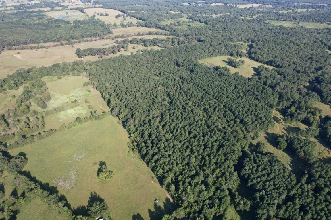 Unimproved Land For Sale in Panola County , TBD County Road 168-1, Long Branch, Texas 75669, 0, 0, Garage spaces, 0 Sqft, built in 0, Price $324,000, mls#20706695, Real Estate Agent in Long Branch, Homes For Sale in Panola county, Homes For Sale in Long Branch, Realtor in Long Branch Texas, Real Estate Brokerage Independent Realty Texas, Luminita Cordes Realtor