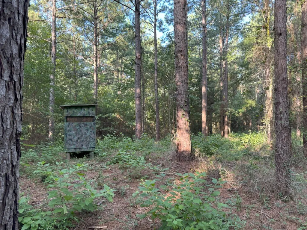 Unimproved Land For Sale in Panola County , TBD County Road 168-1, Long Branch, Texas 75669, 0, 0, Garage spaces, 0 Sqft, built in 0, Price $324,000, mls#20706695, Real Estate Agent in Long Branch, Homes For Sale in Panola county, Homes For Sale in Long Branch, Realtor in Long Branch Texas, Real Estate Brokerage Independent Realty Texas, Luminita Cordes Realtor