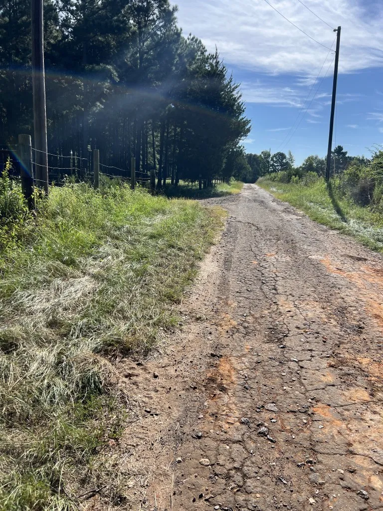 Unimproved Land For Sale in Panola County , TBD County Road 168-1, Long Branch, Texas 75669, 0, 0, Garage spaces, 0 Sqft, built in 0, Price $324,000, mls#20706695, Real Estate Agent in Long Branch, Homes For Sale in Panola county, Homes For Sale in Long Branch, Realtor in Long Branch Texas, Real Estate Brokerage Independent Realty Texas, Luminita Cordes Realtor