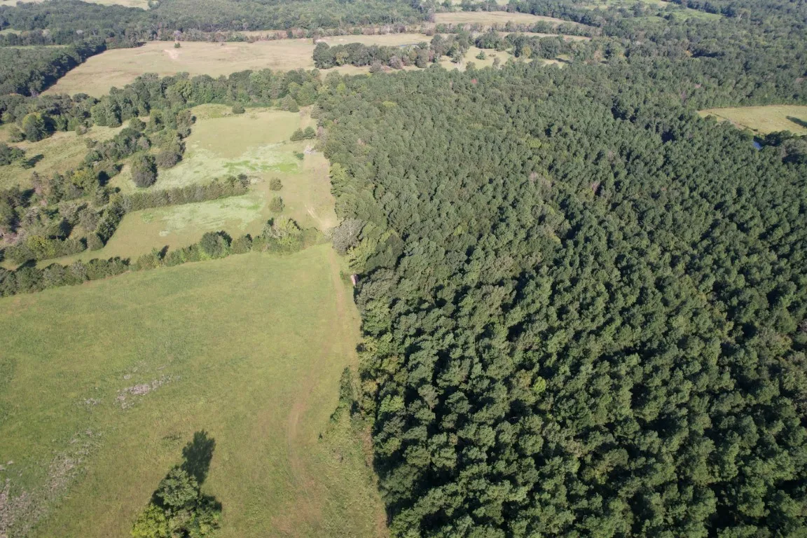 Unimproved Land For Sale in Panola County , TBD County Road 168-1, Long Branch, Texas 75669, 0, 0, Garage spaces, 0 Sqft, built in 0, Price $324,000, mls#20706695, Real Estate Agent in Long Branch, Homes For Sale in Panola county, Homes For Sale in Long Branch, Realtor in Long Branch Texas, Real Estate Brokerage Independent Realty Texas, Luminita Cordes Realtor