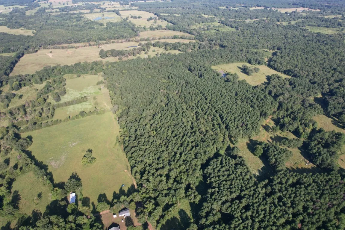 Unimproved Land For Sale in Panola County , TBD County Road 168-1, Long Branch, Texas 75669, 0, 0, Garage spaces, 0 Sqft, built in 0, Price $324,000, mls#20706695, Real Estate Agent in Long Branch, Homes For Sale in Panola county, Homes For Sale in Long Branch, Realtor in Long Branch Texas, Real Estate Brokerage Independent Realty Texas, Luminita Cordes Realtor
