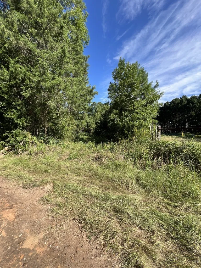 Unimproved Land For Sale in Panola County , TBD County Road 168-1, Long Branch, Texas 75669, 0, 0, Garage spaces, 0 Sqft, built in 0, Price $324,000, mls#20706695, Real Estate Agent in Long Branch, Homes For Sale in Panola county, Homes For Sale in Long Branch, Realtor in Long Branch Texas, Real Estate Brokerage Independent Realty Texas, Luminita Cordes Realtor