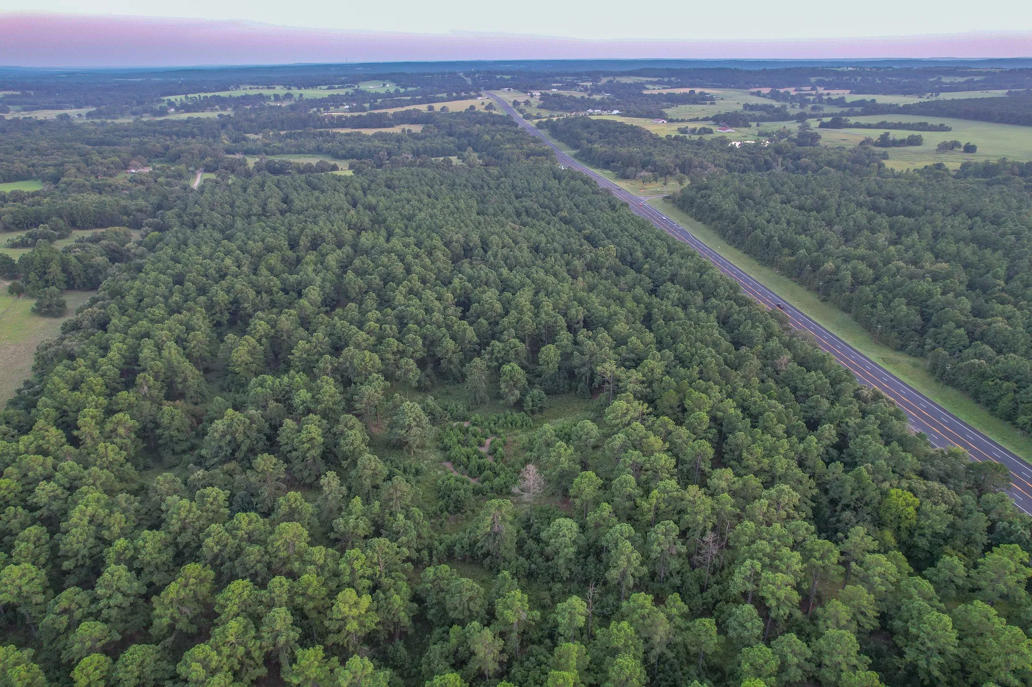 Unimproved Land For Sale in Henderson County , Tract 1 Hwy 155, Frankston, Texas 75763, 0, 0, Garage spaces, 0 Sqft, built in 0, Price $386,666, mls#20706992, Real Estate Agent in Frankston, Homes For Sale in Henderson county, Homes For Sale in Frankston, Realtor in Frankston Texas, Real Estate Brokerage Independent Realty Texas, Luminita Cordes Realtor