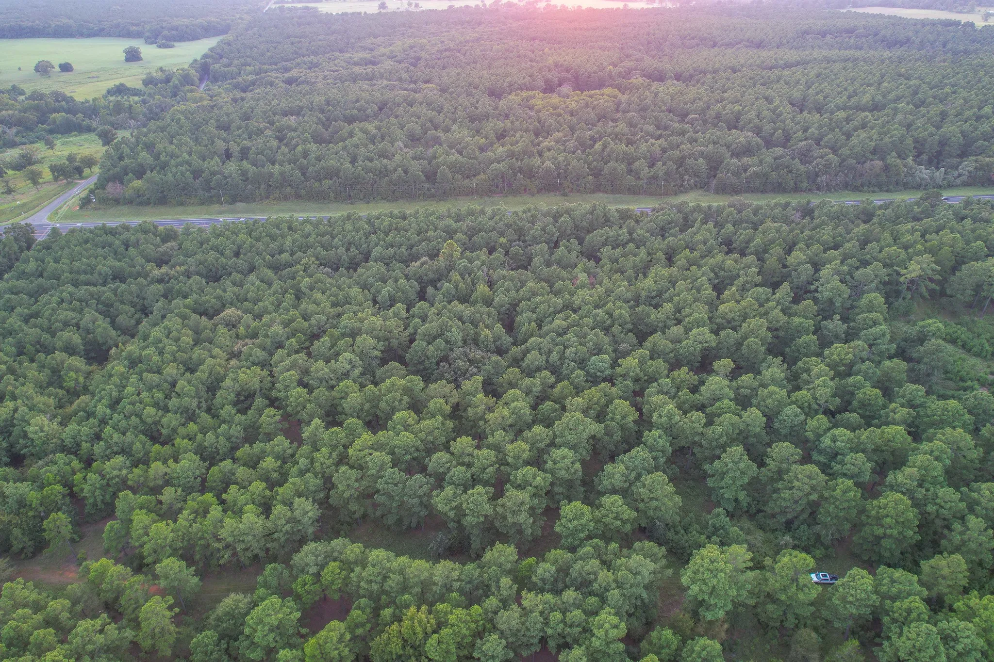 Unimproved Land For Sale in Henderson County , Tract 3 Hwy 155, Frankston, Texas 75763, 0, 0, Garage spaces, 0 Sqft, built in 0, Price $549,999, mls#20707401, Real Estate Agent in Frankston, Homes For Sale in Henderson county, Homes For Sale in Frankston, Realtor in Frankston Texas, Real Estate Brokerage Independent Realty Texas, Luminita Cordes Realtor
