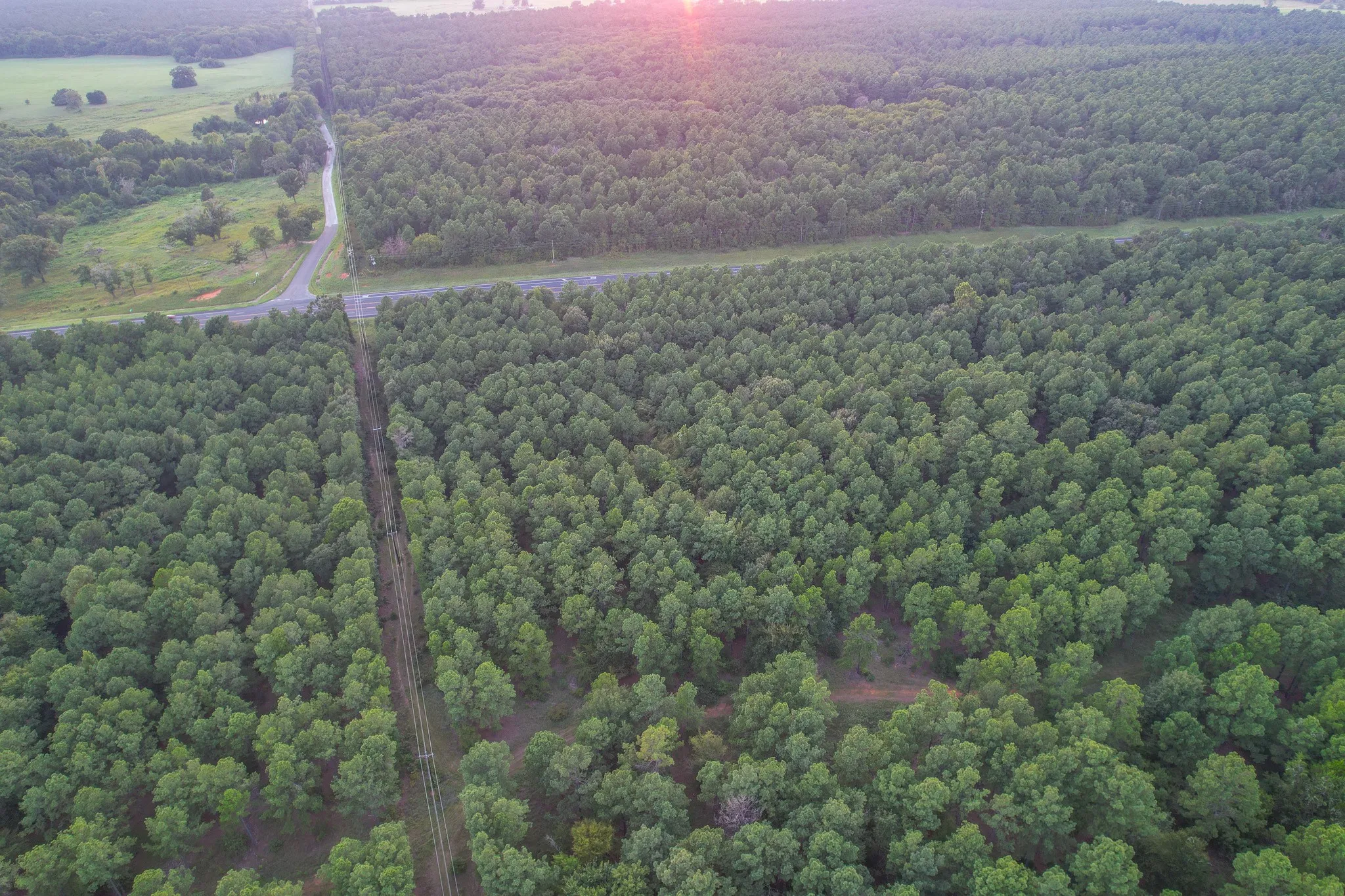 Unimproved Land For Sale in Henderson County , Tract 3 Hwy 155, Frankston, Texas 75763, 0, 0, Garage spaces, 0 Sqft, built in 0, Price $549,999, mls#20707401, Real Estate Agent in Frankston, Homes For Sale in Henderson county, Homes For Sale in Frankston, Realtor in Frankston Texas, Real Estate Brokerage Independent Realty Texas, Luminita Cordes Realtor