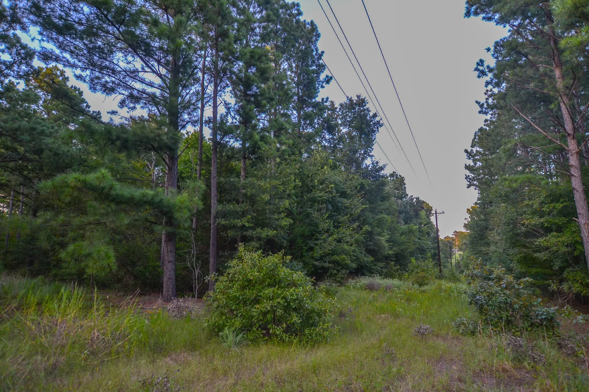 Unimproved Land For Sale in Henderson County , Tract 3 Hwy 155, Frankston, Texas 75763, 0, 0, Garage spaces, 0 Sqft, built in 0, Price $549,999, mls#20707401, Real Estate Agent in Frankston, Homes For Sale in Henderson county, Homes For Sale in Frankston, Realtor in Frankston Texas, Real Estate Brokerage Independent Realty Texas, Luminita Cordes Realtor