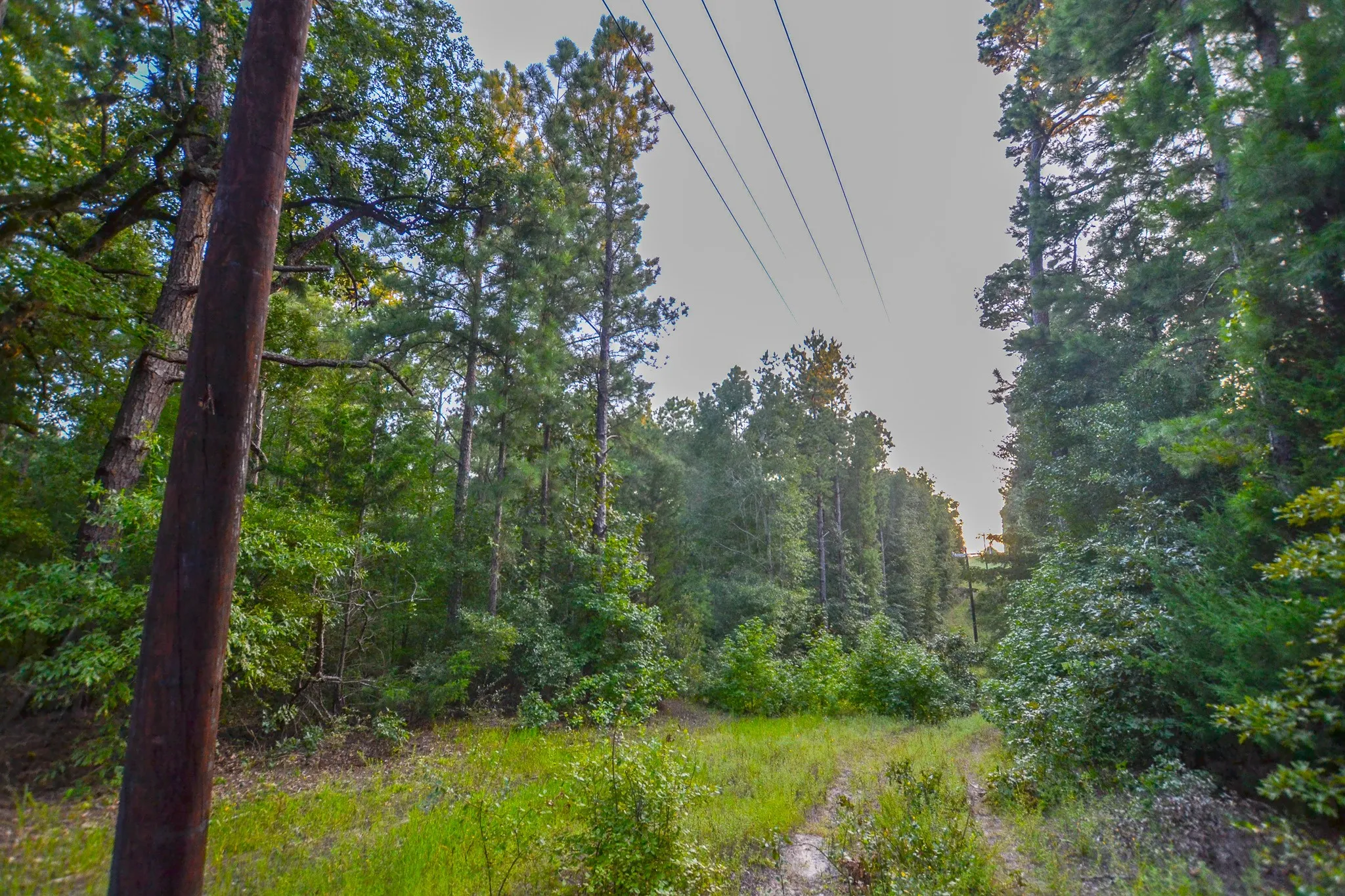 Unimproved Land For Sale in Henderson County , Tract 3 Hwy 155, Frankston, Texas 75763, 0, 0, Garage spaces, 0 Sqft, built in 0, Price $549,999, mls#20707401, Real Estate Agent in Frankston, Homes For Sale in Henderson county, Homes For Sale in Frankston, Realtor in Frankston Texas, Real Estate Brokerage Independent Realty Texas, Luminita Cordes Realtor