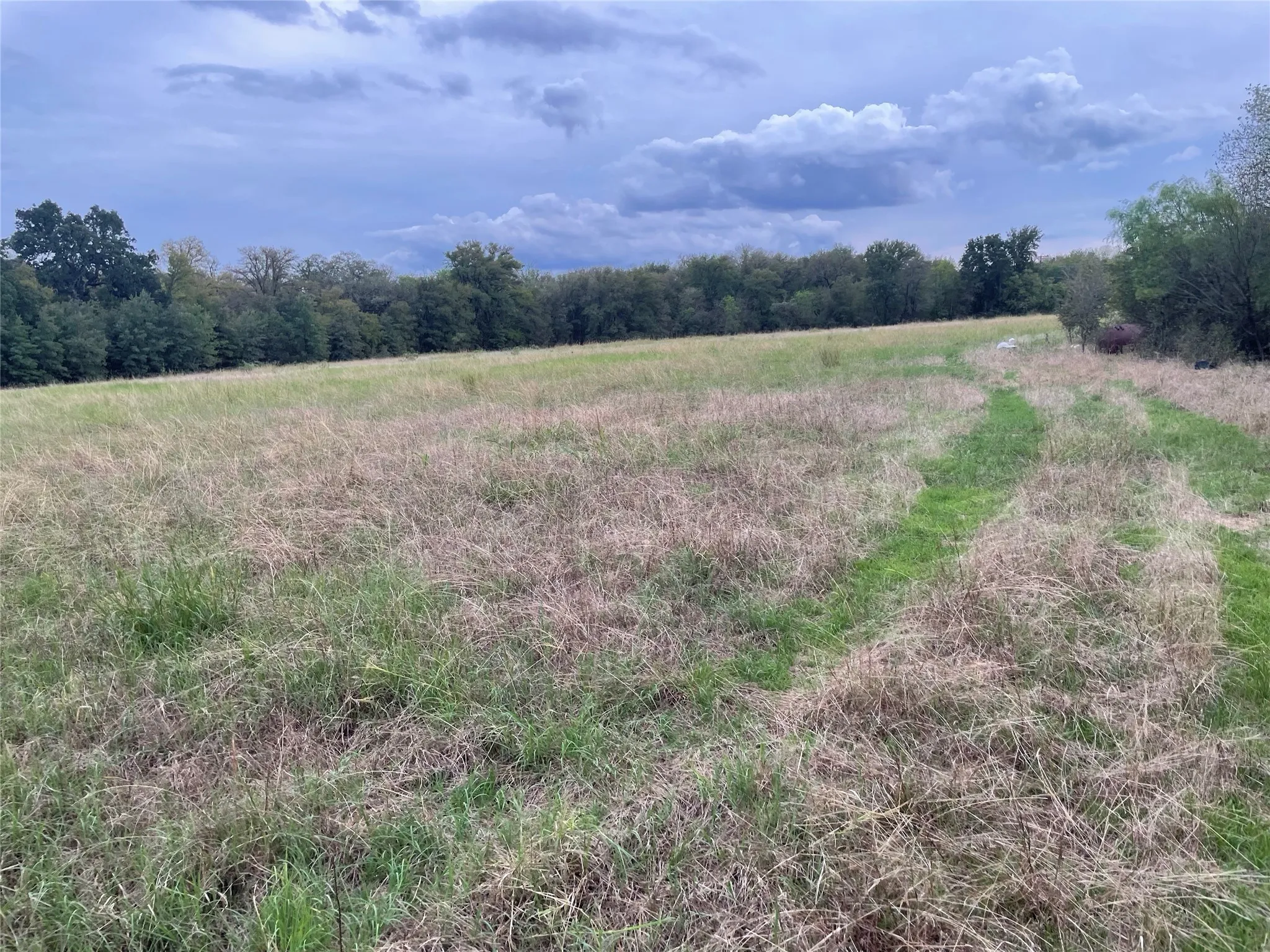 View of nature featuring a rural view