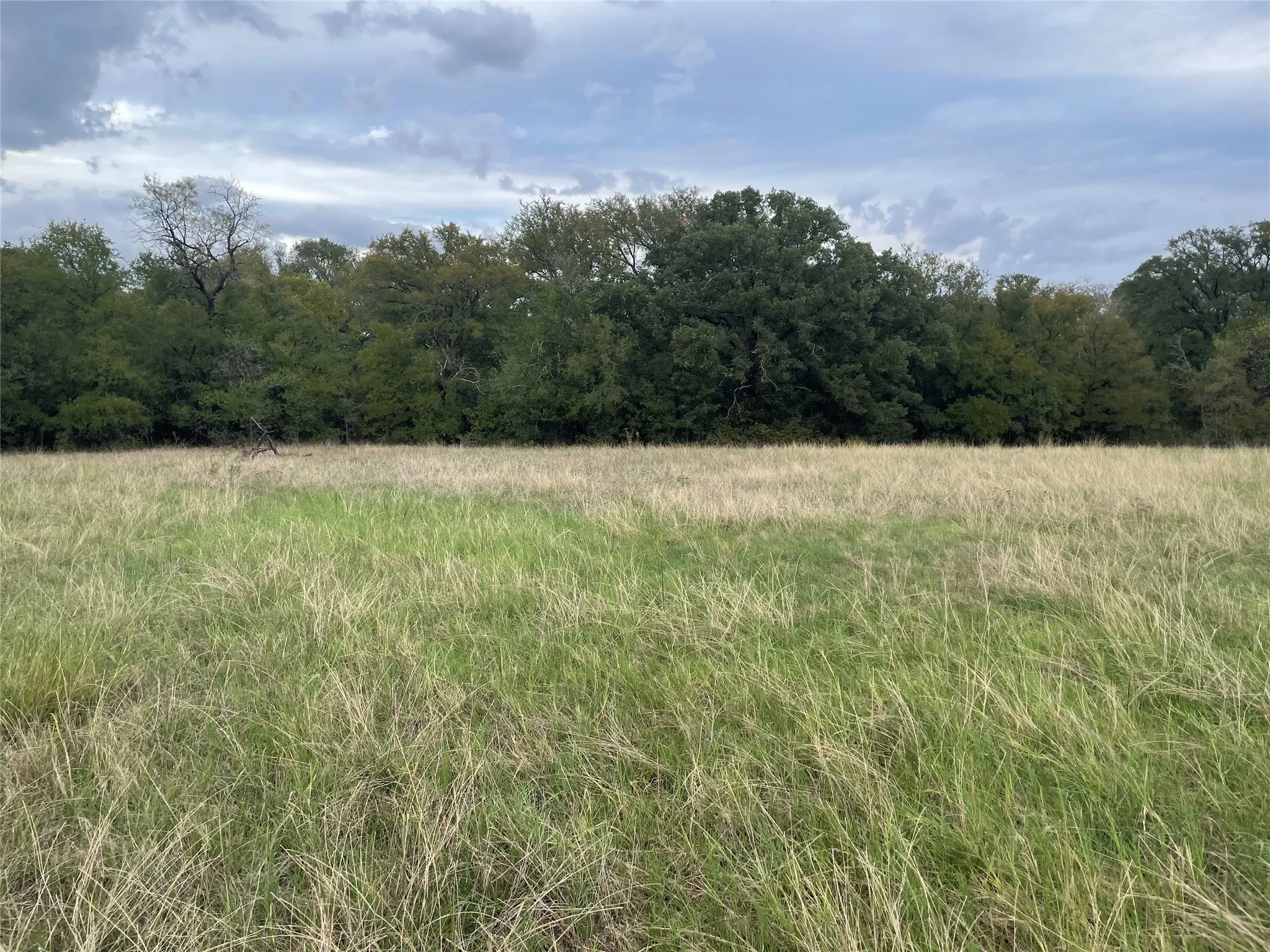 Unimproved Land For Sale in Palo Pinto County , Tbd Beardn Lane, Mingus, Texas 76453, 0, 0, Garage spaces, 0 Sqft, built in 0, mls#20707554, Real Estate Agent in Mingus, Homes For Sale in Palo Pinto county, Homes For Sale in Mingus, Realtor in Mingus Texas, Real Estate Brokerage Independent Realty Texas, Luminita Cordes Realtor