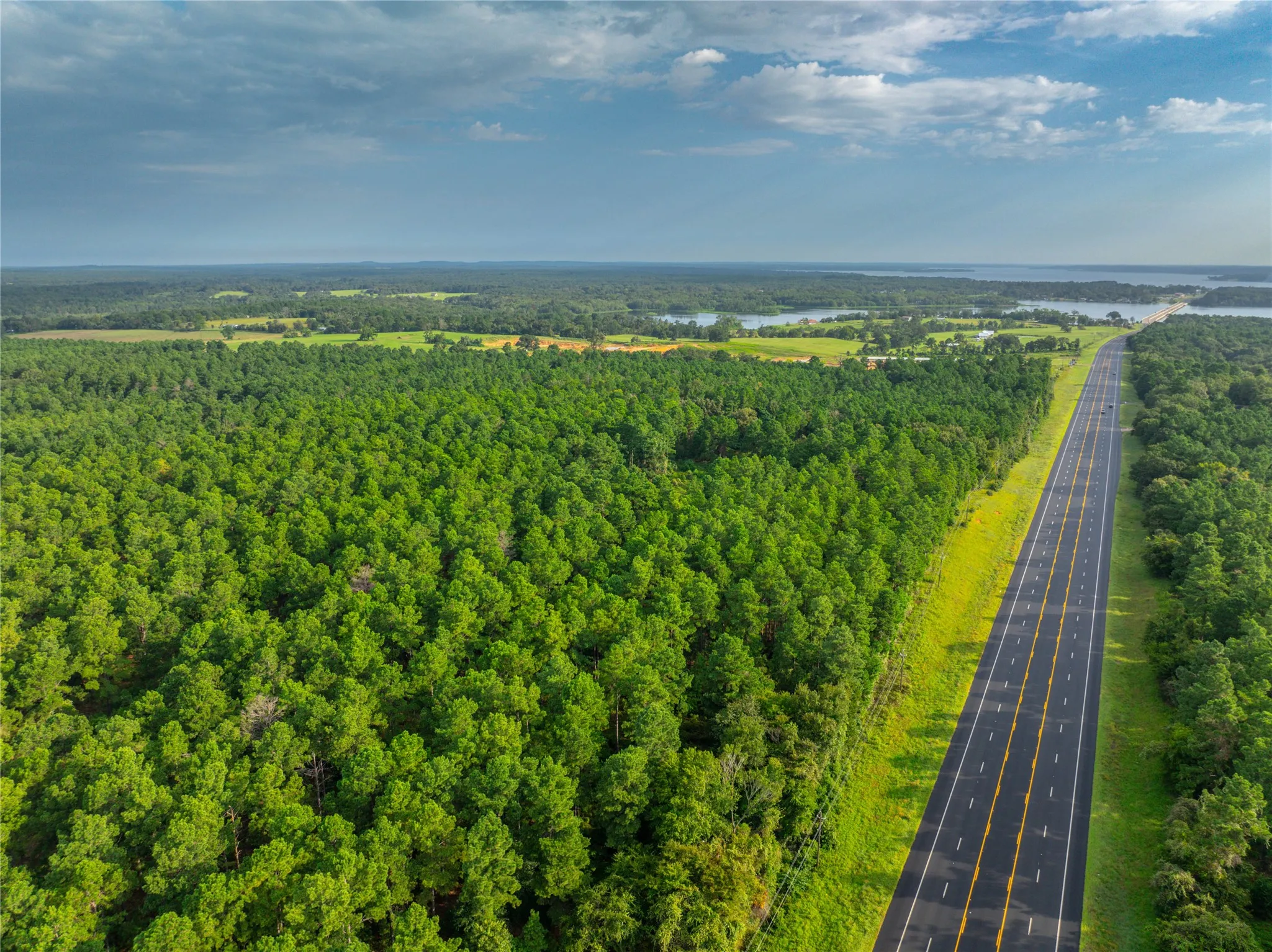 Unimproved Land For Sale in Henderson County , Tract 5 Hwy 155, Frankston, Texas 75763, 0, 0, Garage spaces, 0 Sqft, built in 0, Price $729,167, mls#20707575, Real Estate Agent in Frankston, Homes For Sale in Henderson county, Homes For Sale in Frankston, Realtor in Frankston Texas, Real Estate Brokerage Independent Realty Texas, Luminita Cordes Realtor