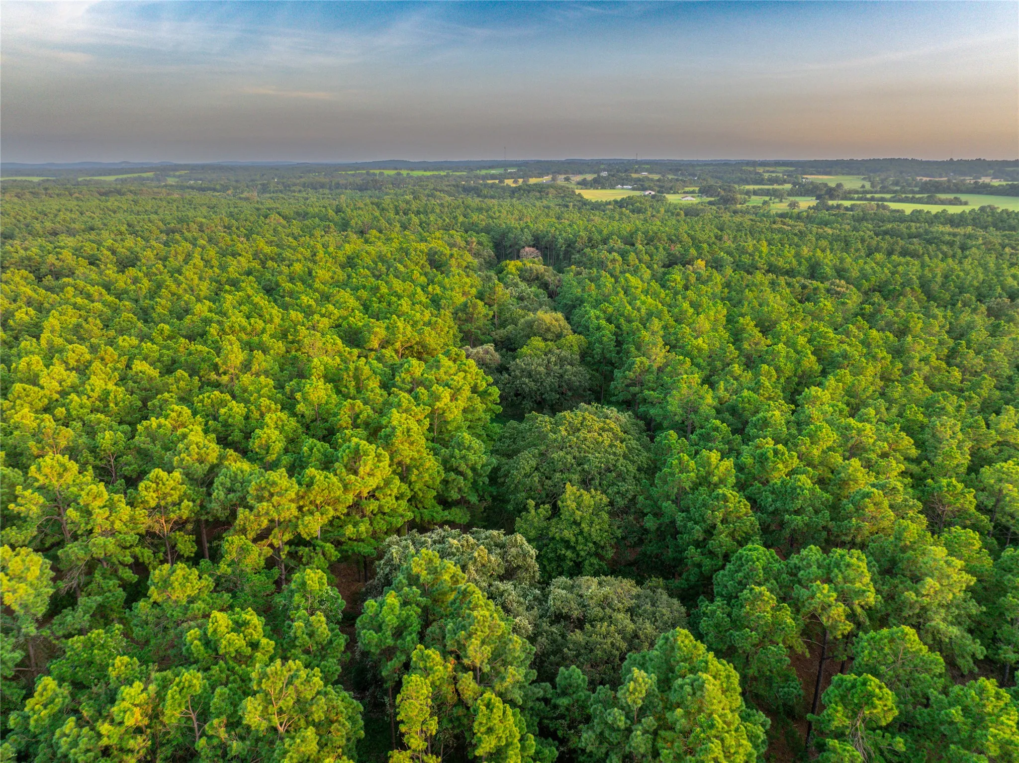Unimproved Land For Sale in Henderson County , Tract 5 Hwy 155, Frankston, Texas 75763, 0, 0, Garage spaces, 0 Sqft, built in 0, Price $729,167, mls#20707575, Real Estate Agent in Frankston, Homes For Sale in Henderson county, Homes For Sale in Frankston, Realtor in Frankston Texas, Real Estate Brokerage Independent Realty Texas, Luminita Cordes Realtor