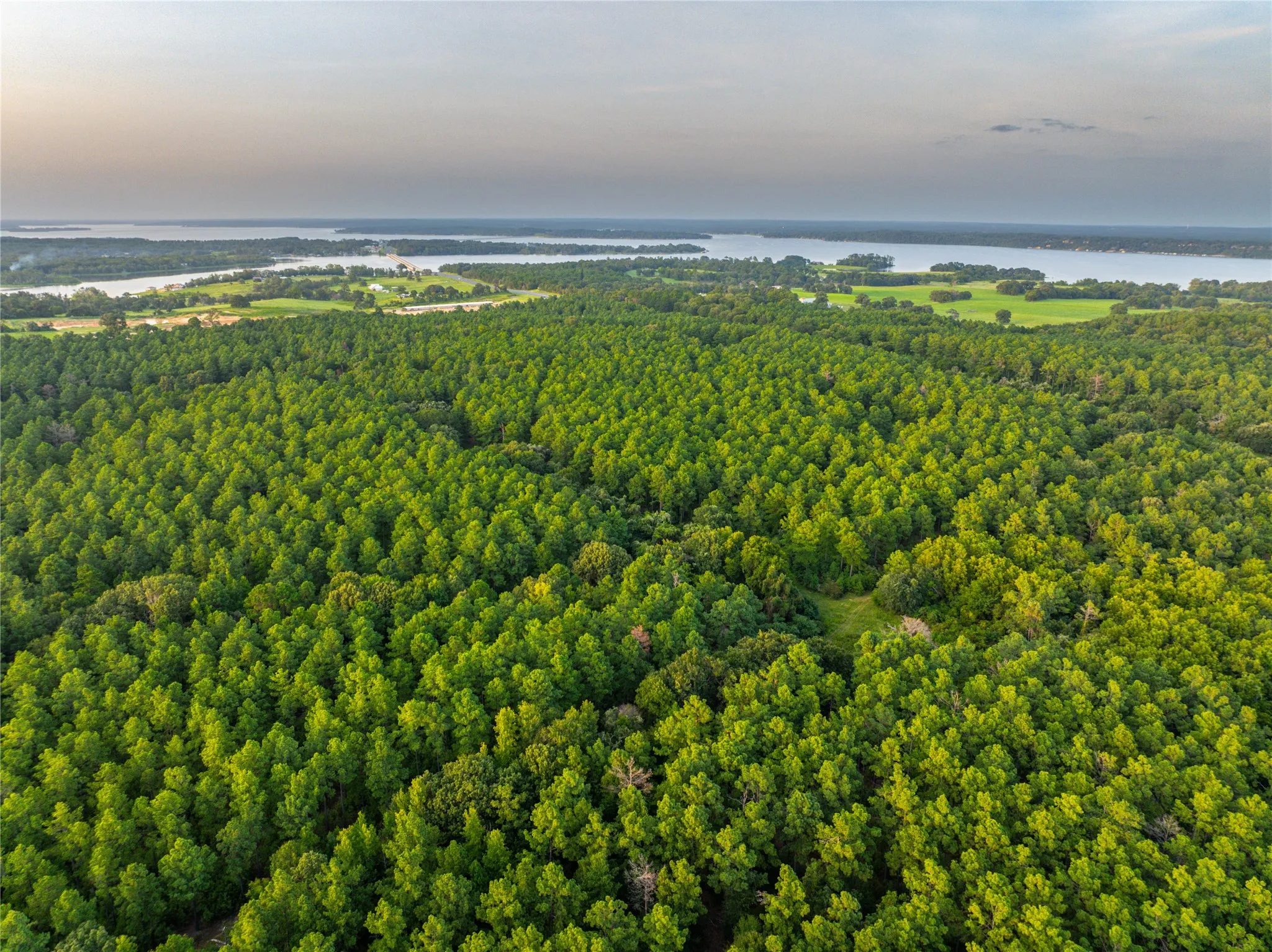 Unimproved Land For Sale in Henderson County , Tract 5 Hwy 155, Frankston, Texas 75763, 0, 0, Garage spaces, 0 Sqft, built in 0, Price $729,167, mls#20707575, Real Estate Agent in Frankston, Homes For Sale in Henderson county, Homes For Sale in Frankston, Realtor in Frankston Texas, Real Estate Brokerage Independent Realty Texas, Luminita Cordes Realtor