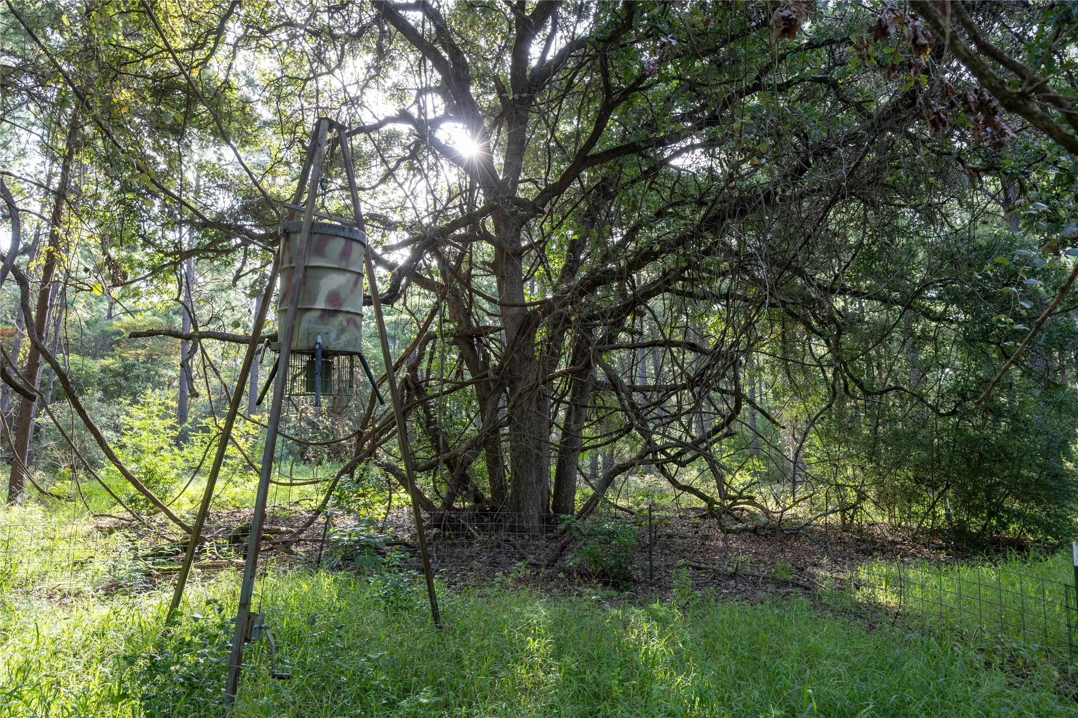 Unimproved Land For Sale in Henderson County , Tract 5 Hwy 155, Frankston, Texas 75763, 0, 0, Garage spaces, 0 Sqft, built in 0, Price $729,167, mls#20707575, Real Estate Agent in Frankston, Homes For Sale in Henderson county, Homes For Sale in Frankston, Realtor in Frankston Texas, Real Estate Brokerage Independent Realty Texas, Luminita Cordes Realtor