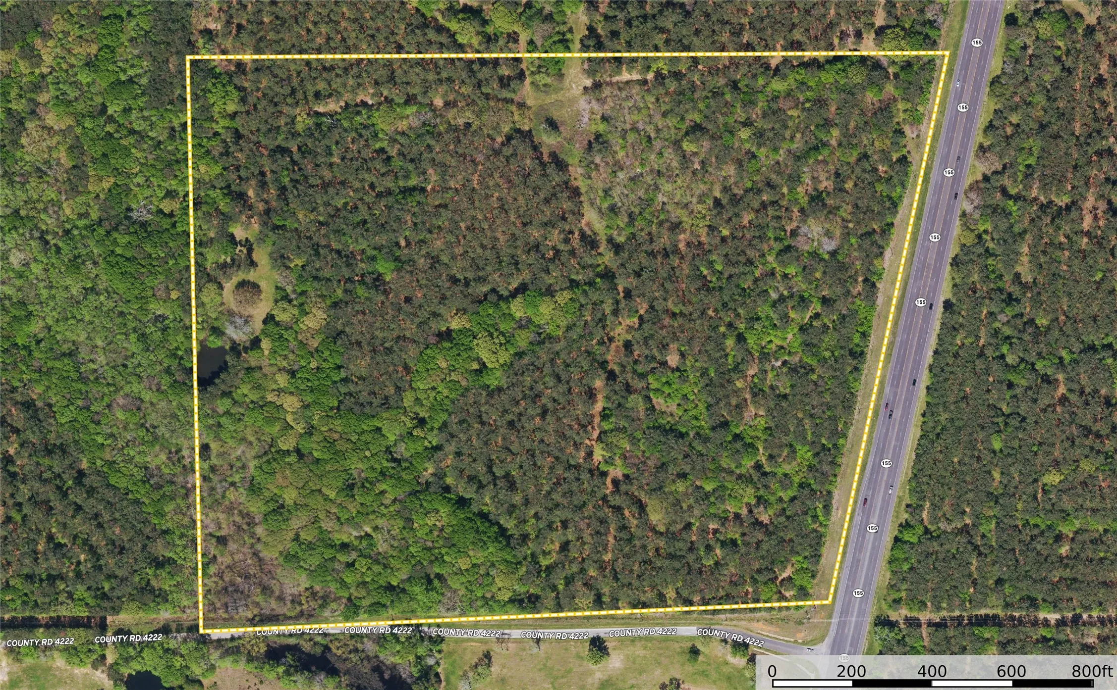 Unimproved Land For Sale in Henderson County , Tract 6 Hwy 155, Frankston, Texas 75763, 0, 0, Garage spaces, 0 Sqft, built in 0, Price $871,111, mls#20707581, Real Estate Agent in Frankston, Homes For Sale in Henderson county, Homes For Sale in Frankston, Realtor in Frankston Texas, Real Estate Brokerage Independent Realty Texas, Luminita Cordes Realtor