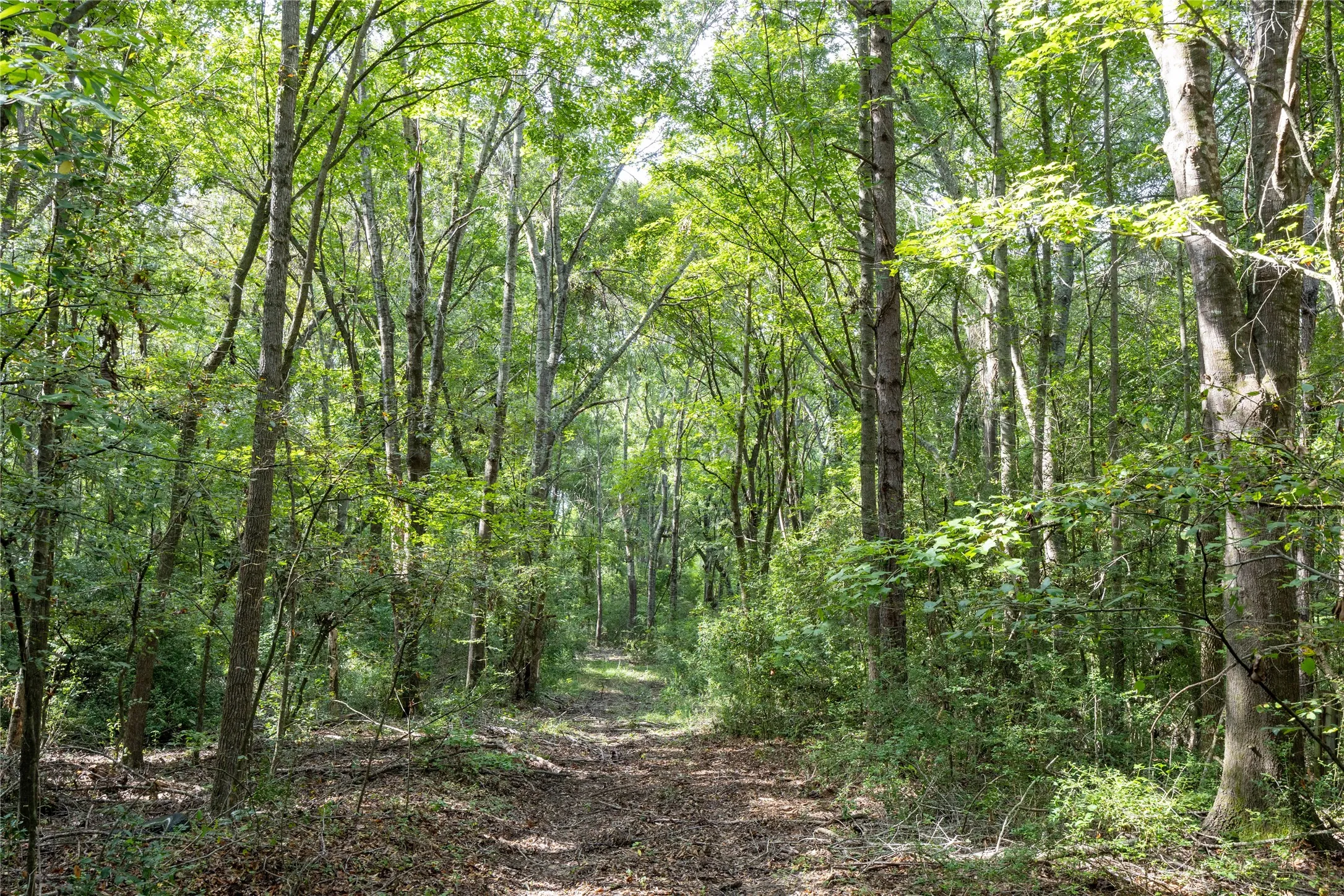Unimproved Land For Sale in Henderson County , Tract 6 Hwy 155, Frankston, Texas 75763, 0, 0, Garage spaces, 0 Sqft, built in 0, Price $871,111, mls#20707581, Real Estate Agent in Frankston, Homes For Sale in Henderson county, Homes For Sale in Frankston, Realtor in Frankston Texas, Real Estate Brokerage Independent Realty Texas, Luminita Cordes Realtor
