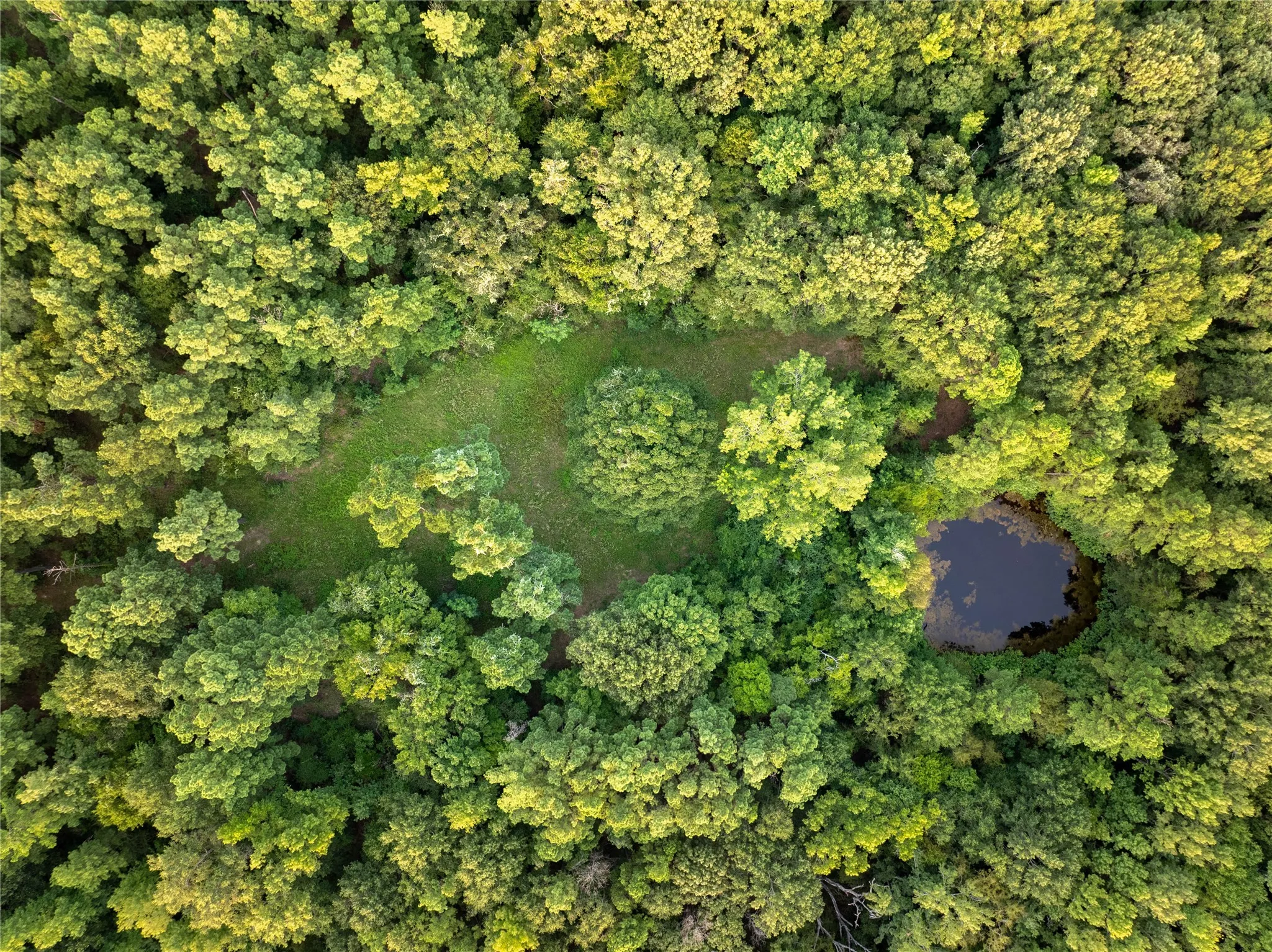 Unimproved Land For Sale in Henderson County , Tract 6 Hwy 155, Frankston, Texas 75763, 0, 0, Garage spaces, 0 Sqft, built in 0, Price $871,111, mls#20707581, Real Estate Agent in Frankston, Homes For Sale in Henderson county, Homes For Sale in Frankston, Realtor in Frankston Texas, Real Estate Brokerage Independent Realty Texas, Luminita Cordes Realtor