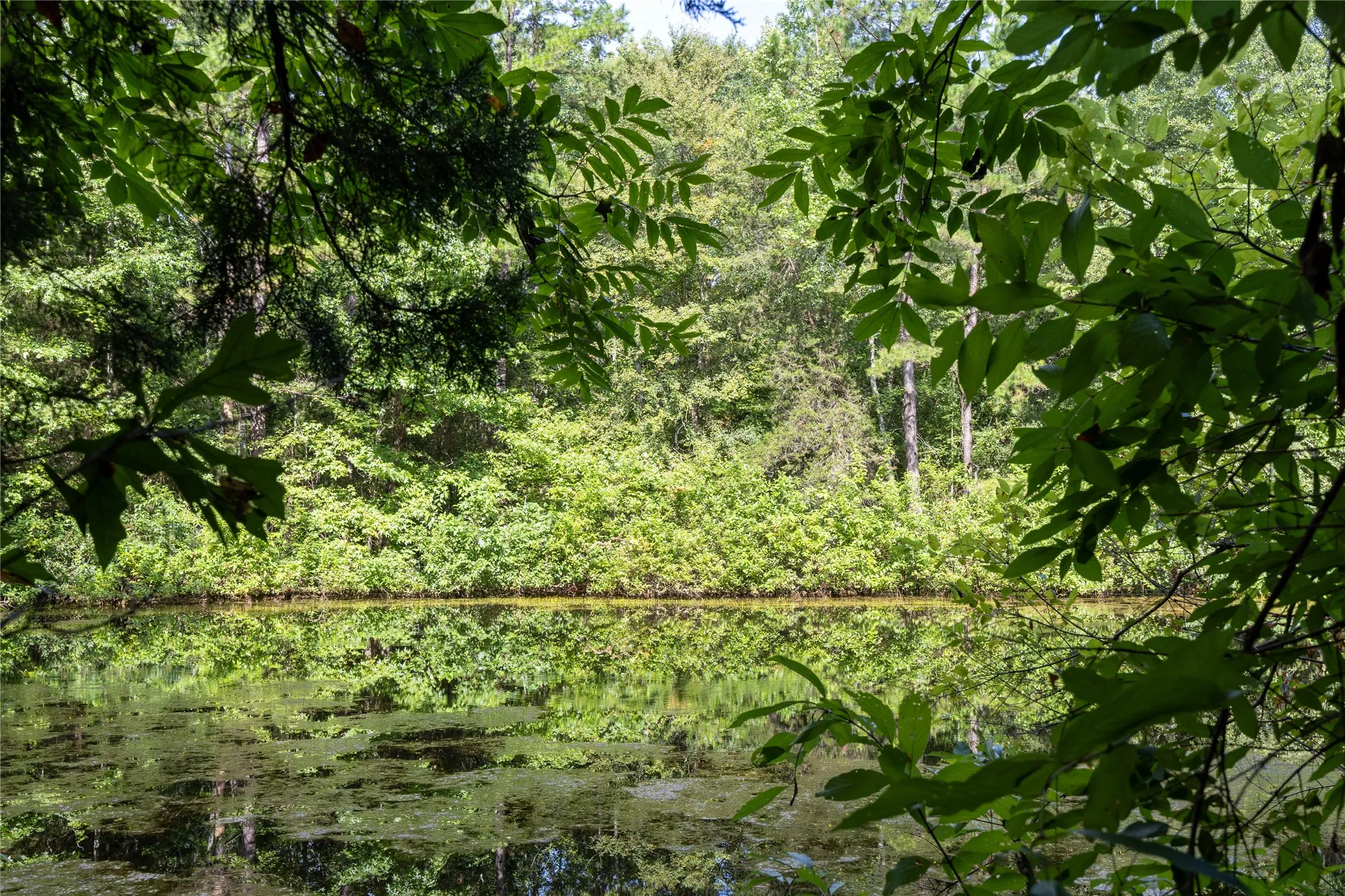 Unimproved Land For Sale in Henderson County , Tract 6 Hwy 155, Frankston, Texas 75763, 0, 0, Garage spaces, 0 Sqft, built in 0, Price $871,111, mls#20707581, Real Estate Agent in Frankston, Homes For Sale in Henderson county, Homes For Sale in Frankston, Realtor in Frankston Texas, Real Estate Brokerage Independent Realty Texas, Luminita Cordes Realtor