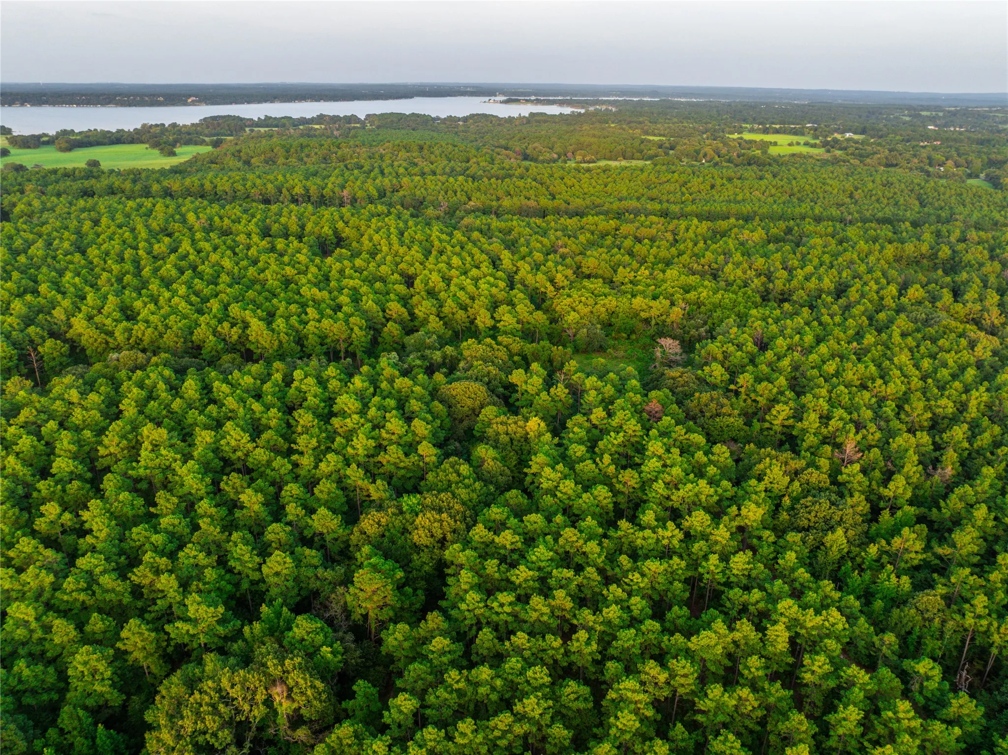 Unimproved Land For Sale in Henderson County , Tract 6 Hwy 155, Frankston, Texas 75763, 0, 0, Garage spaces, 0 Sqft, built in 0, Price $871,111, mls#20707581, Real Estate Agent in Frankston, Homes For Sale in Henderson county, Homes For Sale in Frankston, Realtor in Frankston Texas, Real Estate Brokerage Independent Realty Texas, Luminita Cordes Realtor