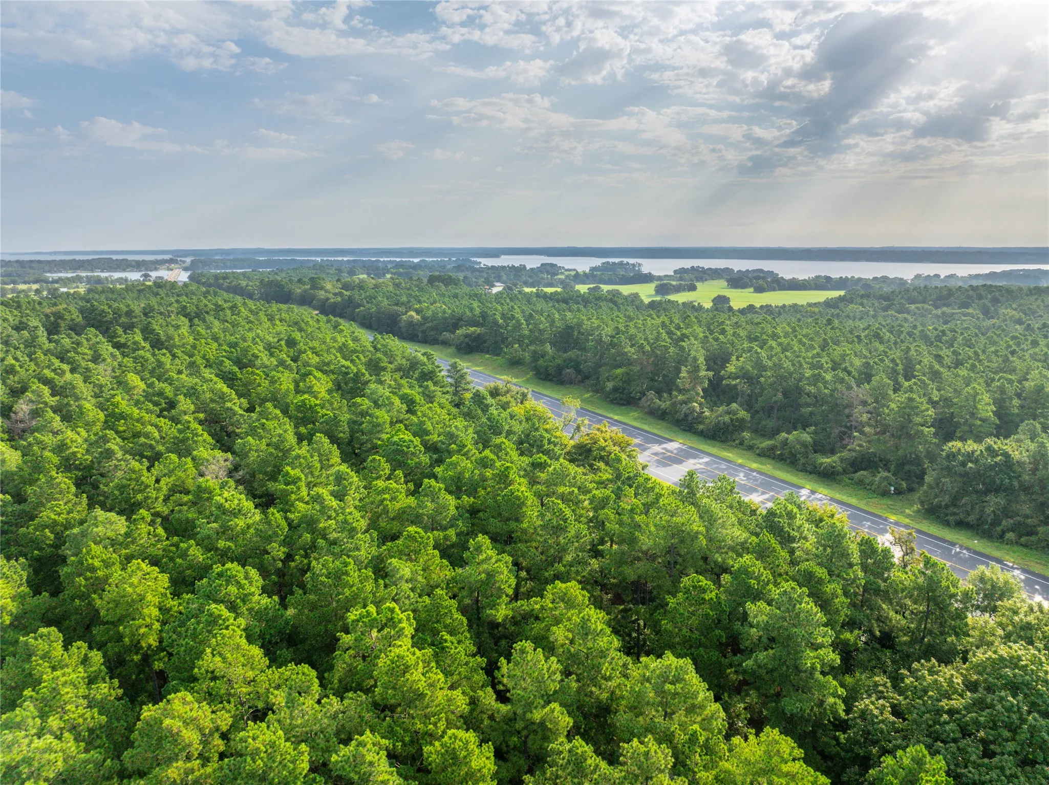 Unimproved Land For Sale in Henderson County , Tract 6 Hwy 155, Frankston, Texas 75763, 0, 0, Garage spaces, 0 Sqft, built in 0, Price $871,111, mls#20707581, Real Estate Agent in Frankston, Homes For Sale in Henderson county, Homes For Sale in Frankston, Realtor in Frankston Texas, Real Estate Brokerage Independent Realty Texas, Luminita Cordes Realtor