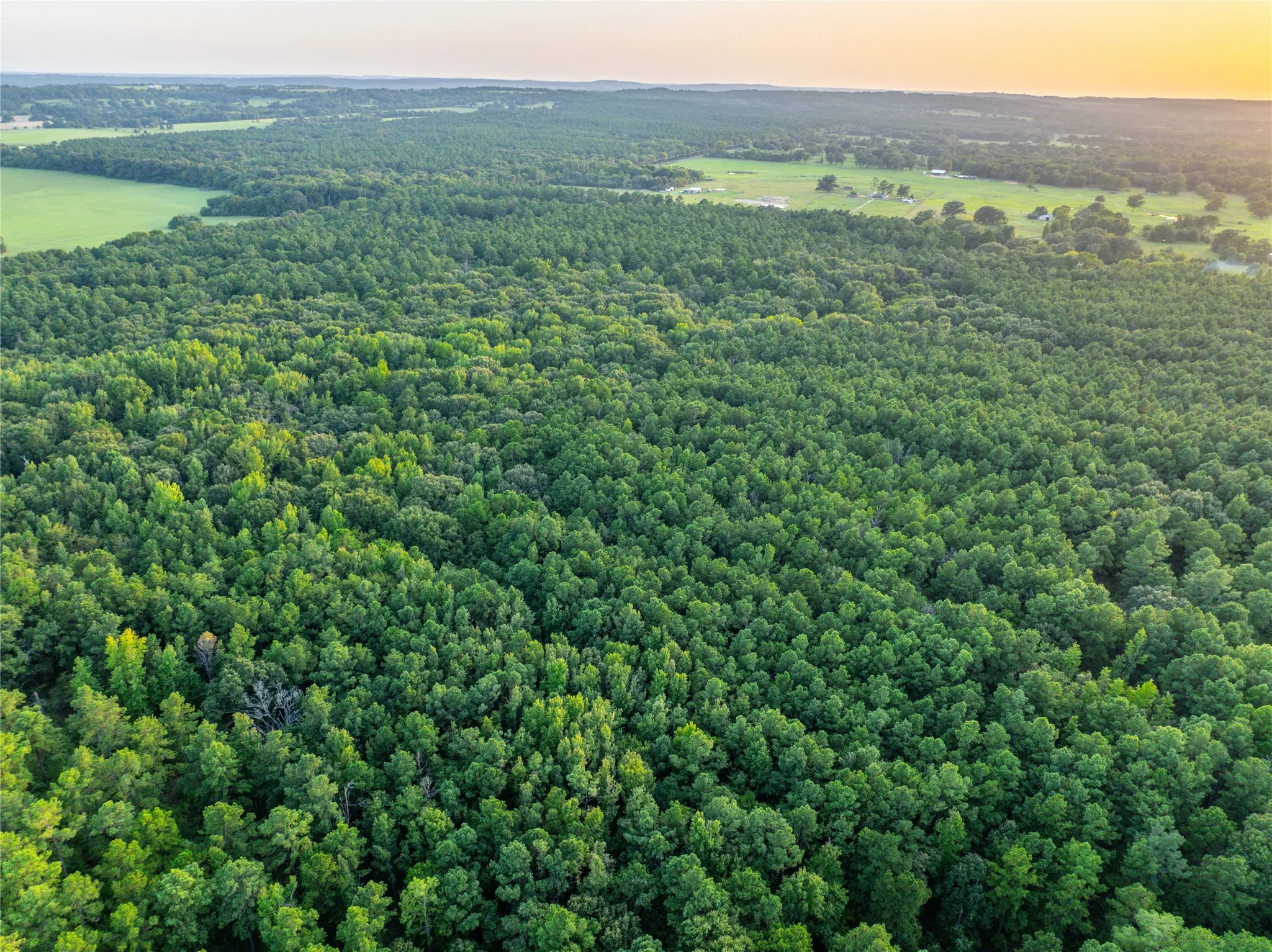 Unimproved Land For Sale in Henderson County , Tract 7 County Road 4221, Frankston, Texas 75763, 0, 0, Garage spaces, 0 Sqft, built in 0, Price $939,236, mls#20707649, Real Estate Agent in Frankston, Homes For Sale in Henderson county, Homes For Sale in Frankston, Realtor in Frankston Texas, Real Estate Brokerage Independent Realty Texas, Luminita Cordes Realtor
