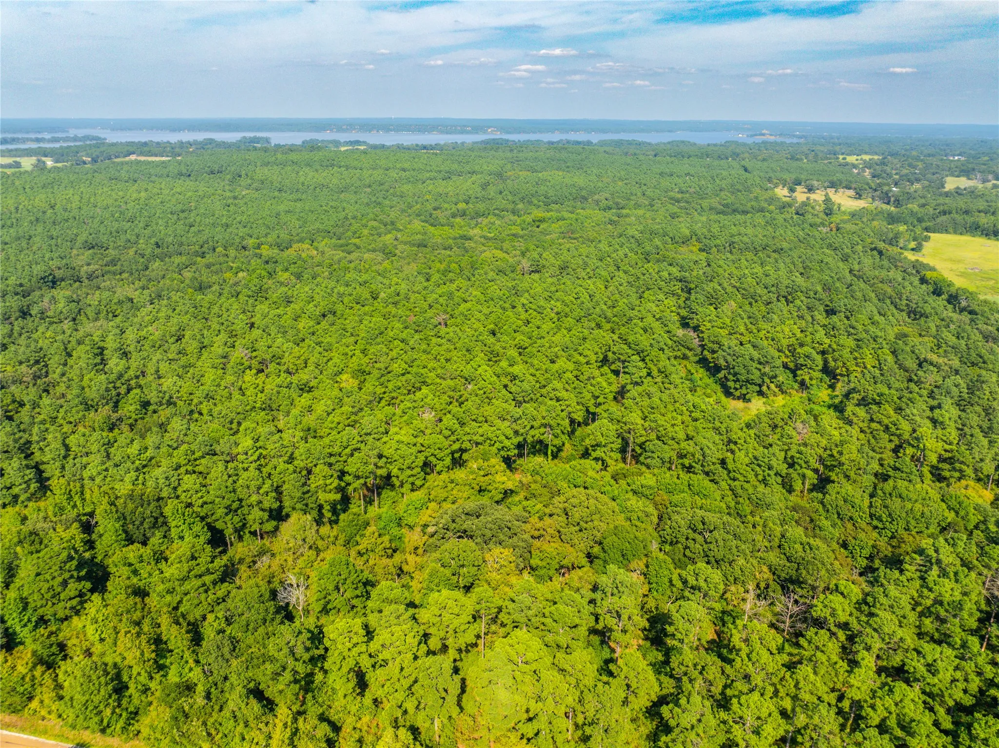 Unimproved Land For Sale in Henderson County , Tract 7 County Road 4221, Frankston, Texas 75763, 0, 0, Garage spaces, 0 Sqft, built in 0, Price $939,236, mls#20707649, Real Estate Agent in Frankston, Homes For Sale in Henderson county, Homes For Sale in Frankston, Realtor in Frankston Texas, Real Estate Brokerage Independent Realty Texas, Luminita Cordes Realtor