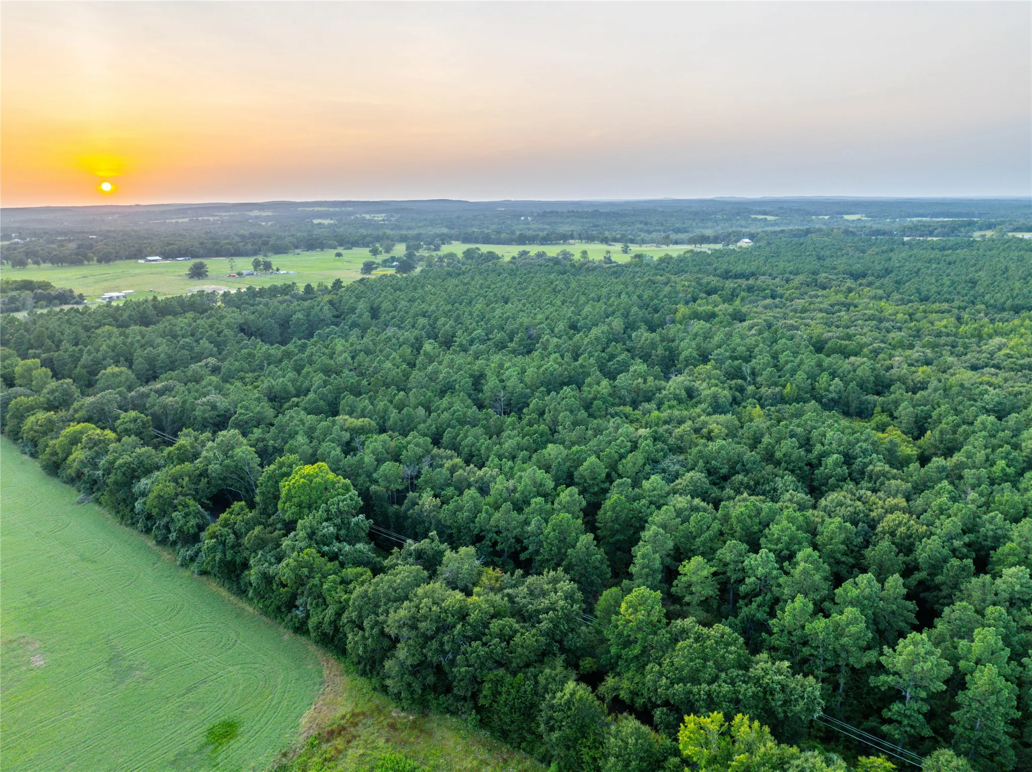 Unimproved Land For Sale in Henderson County , Tract 7 County Road 4221, Frankston, Texas 75763, 0, 0, Garage spaces, 0 Sqft, built in 0, Price $939,236, mls#20707649, Real Estate Agent in Frankston, Homes For Sale in Henderson county, Homes For Sale in Frankston, Realtor in Frankston Texas, Real Estate Brokerage Independent Realty Texas, Luminita Cordes Realtor