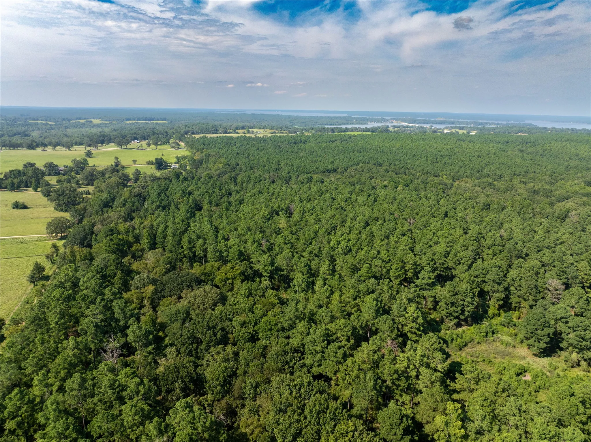 Unimproved Land For Sale in Henderson County , Tract 7 County Road 4221, Frankston, Texas 75763, 0, 0, Garage spaces, 0 Sqft, built in 0, Price $939,236, mls#20707649, Real Estate Agent in Frankston, Homes For Sale in Henderson county, Homes For Sale in Frankston, Realtor in Frankston Texas, Real Estate Brokerage Independent Realty Texas, Luminita Cordes Realtor