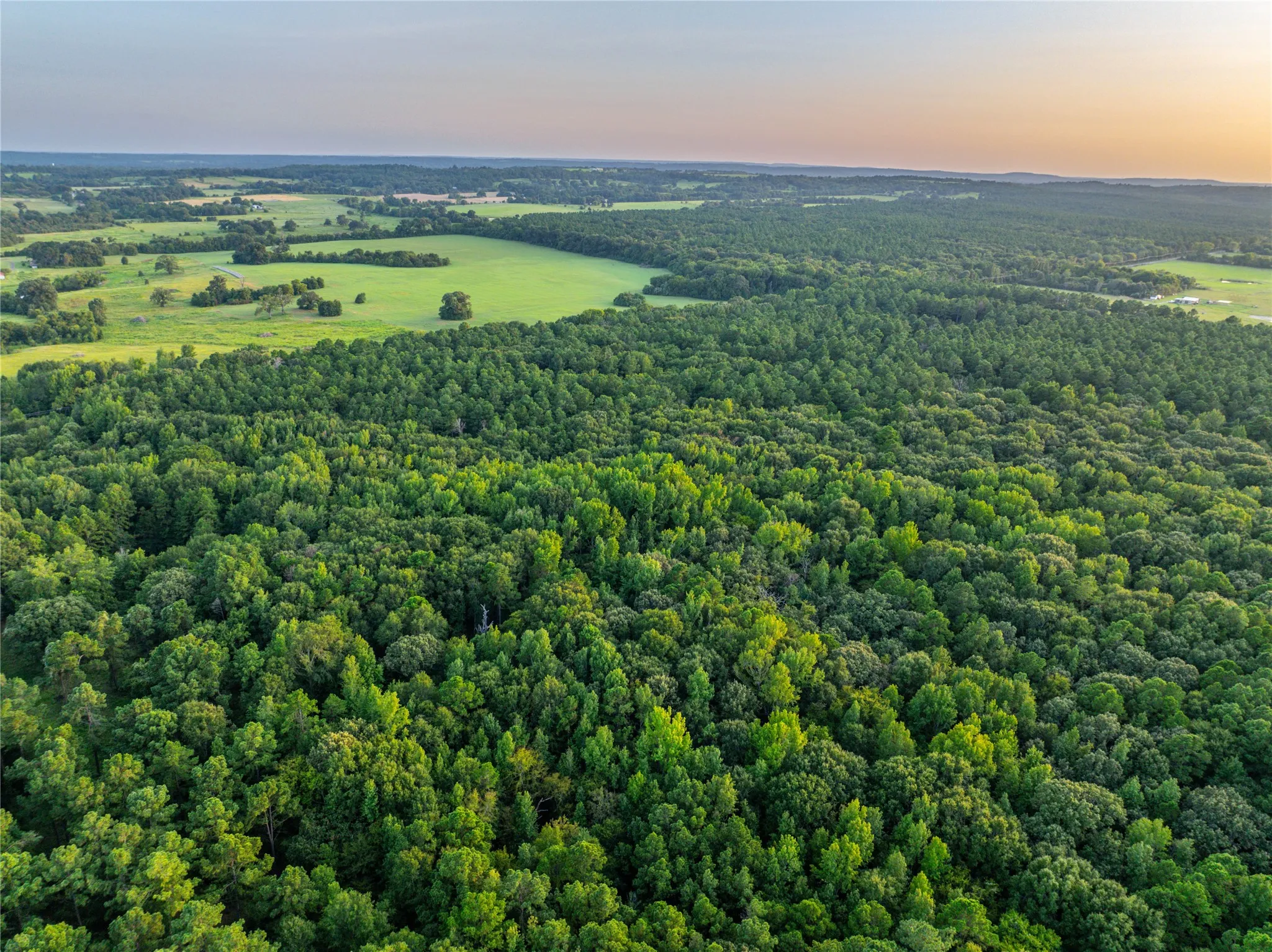 Unimproved Land For Sale in Henderson County , Tract 7 County Road 4221, Frankston, Texas 75763, 0, 0, Garage spaces, 0 Sqft, built in 0, Price $939,236, mls#20707649, Real Estate Agent in Frankston, Homes For Sale in Henderson county, Homes For Sale in Frankston, Realtor in Frankston Texas, Real Estate Brokerage Independent Realty Texas, Luminita Cordes Realtor